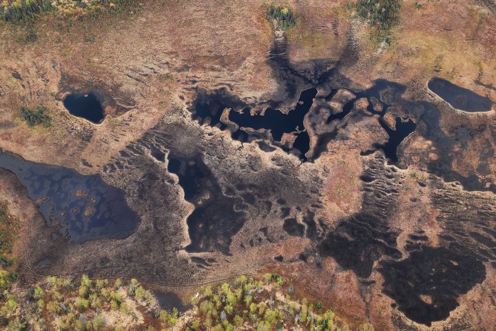 Aerial view of a marshland with ponds and vegetation patches.
