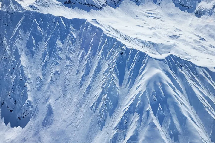 Private Scenic Tour in Alaska Denali Mountaineer with Sheldon Air