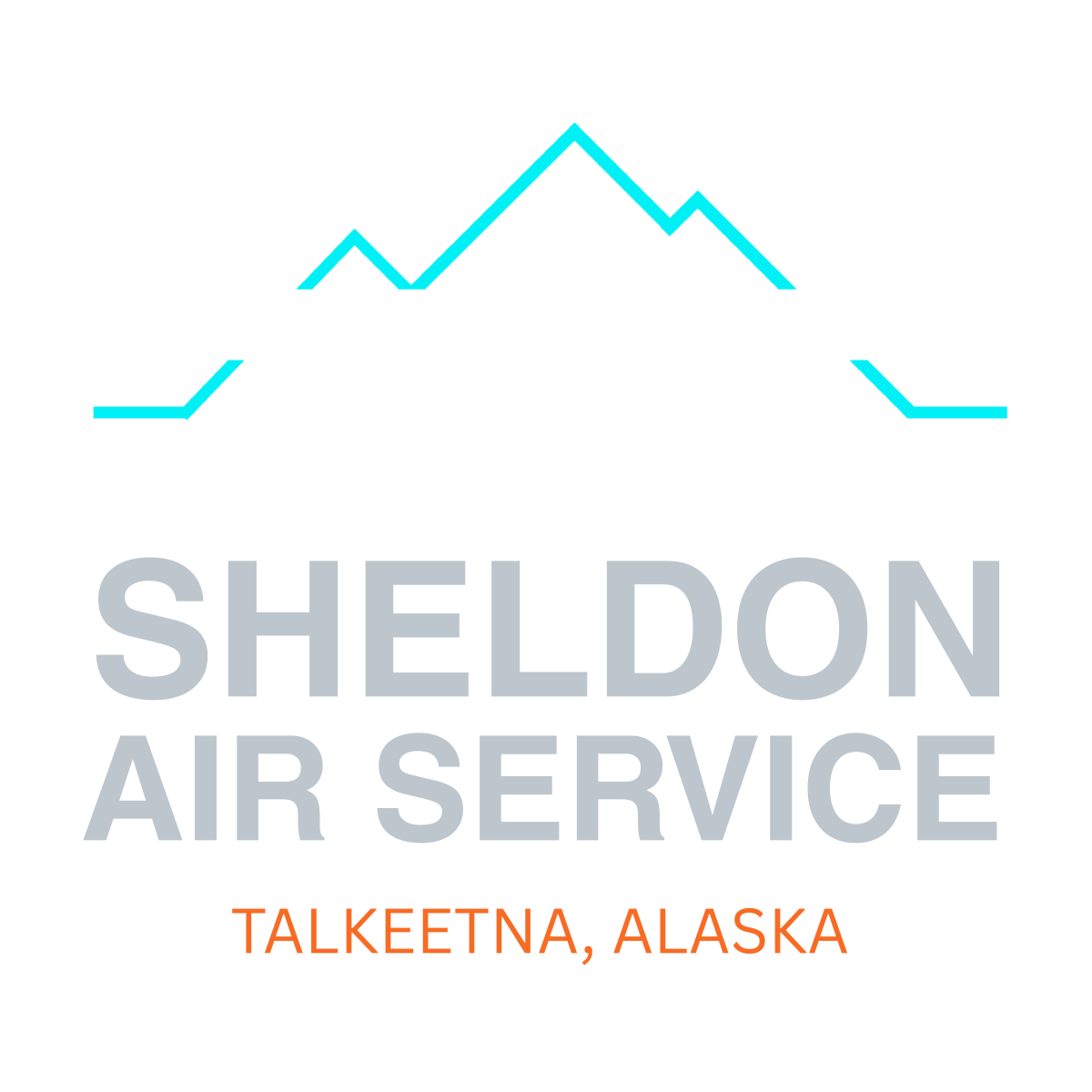 Sheldon Air Service
