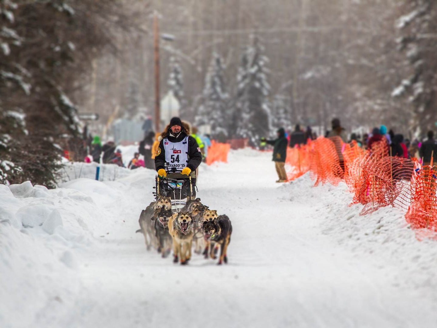 Best Flight Tour to Iditarod Sled Dog Race