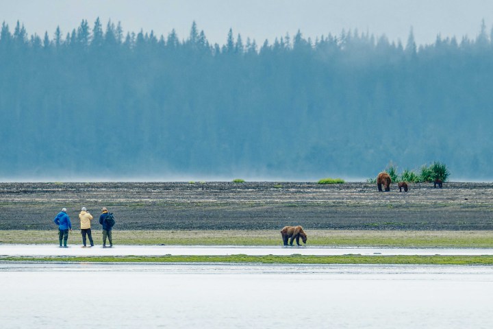 Visitors Watching Bears at Lake Clark in Alaska