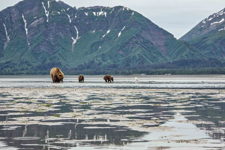 Lake Clark National Park Landscape