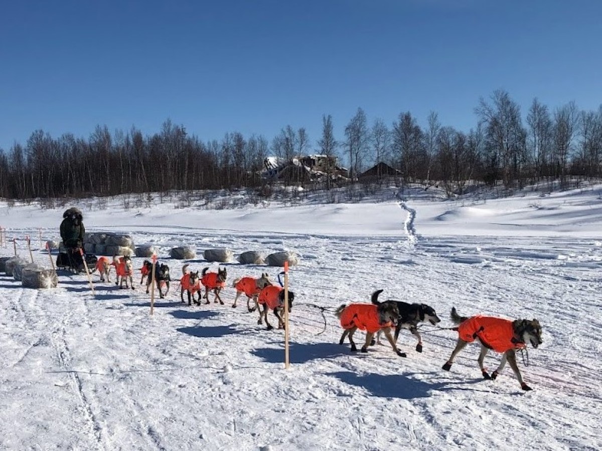 a group of people cross country skiing in the snow