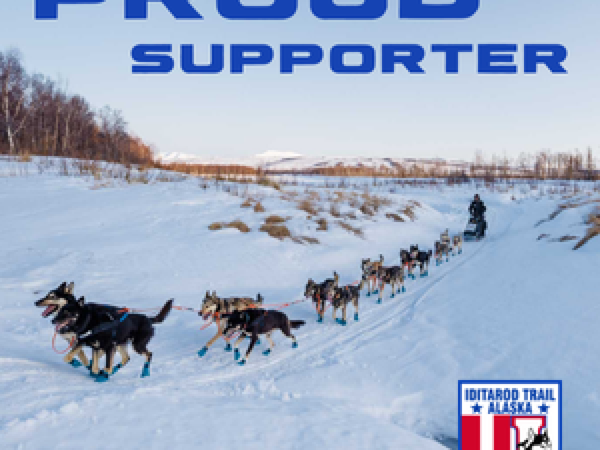 a flock of seagulls are standing in the snow