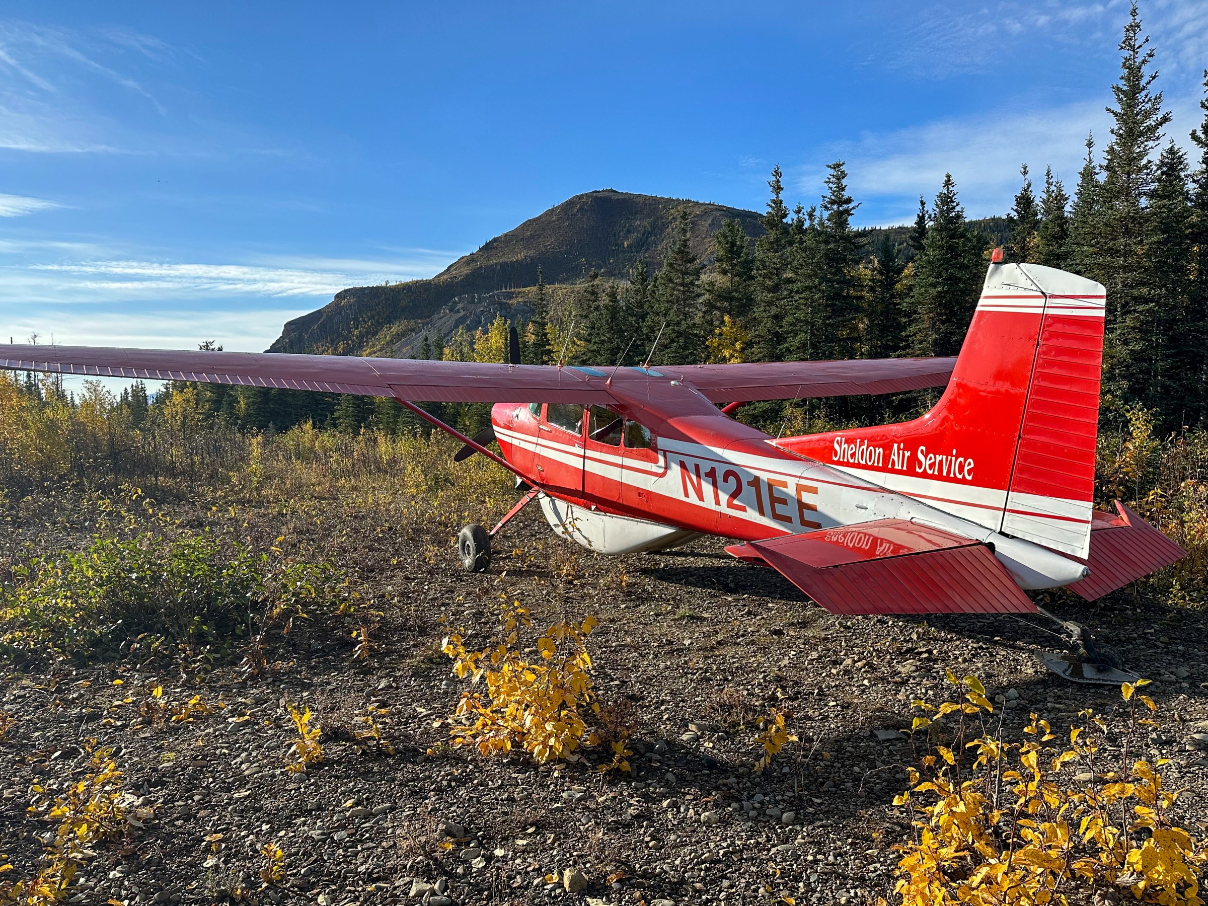 Red and white small aircraft parked on a grassy area with trees and mountains in the background.