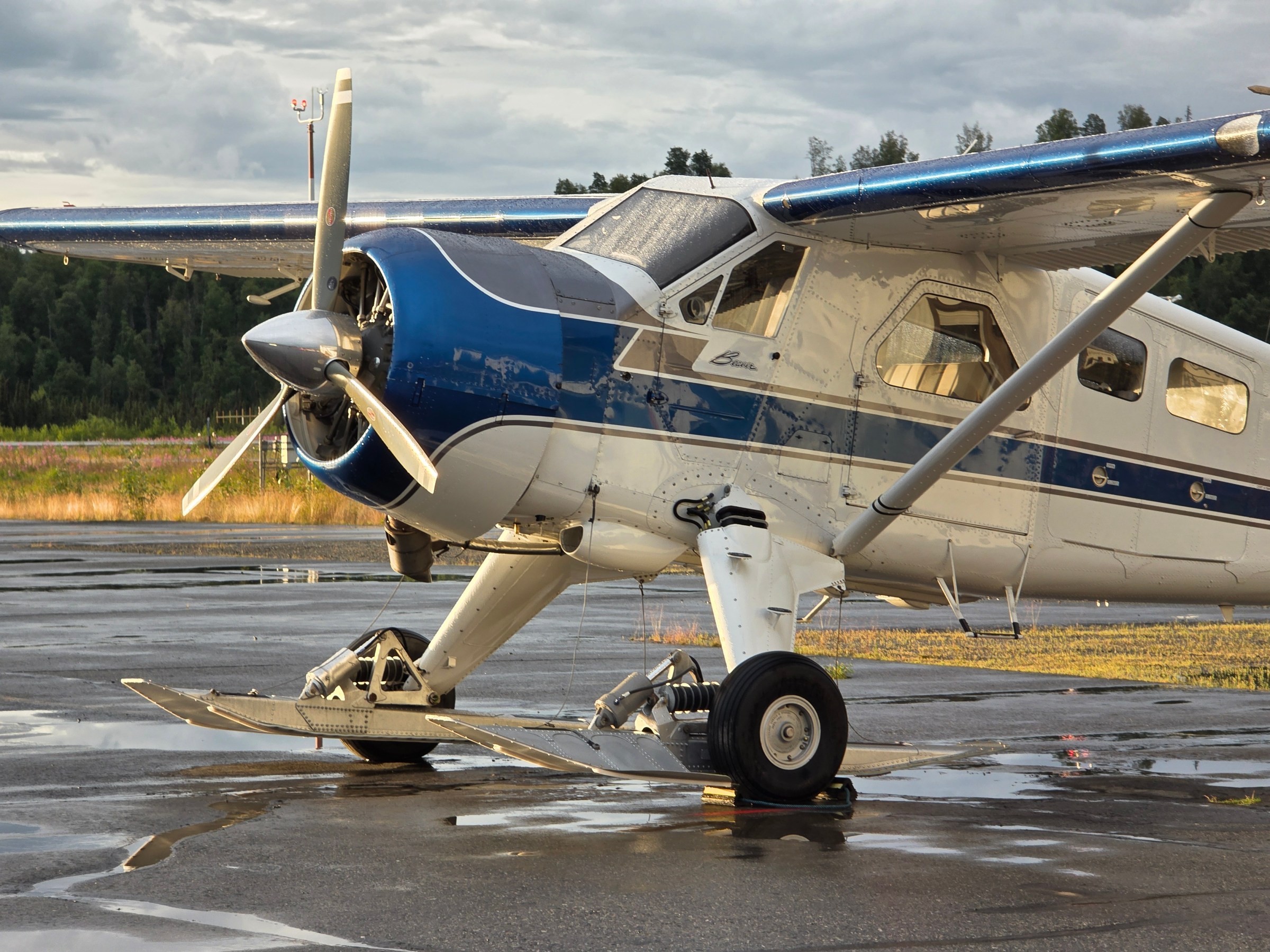 DeHavilland Beaver on Alaskan Summer