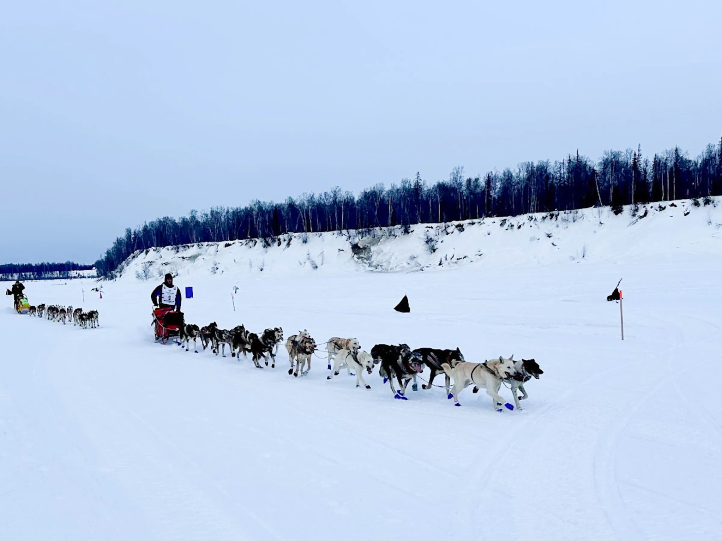 Dog sled teams racing on snow with mushers, during Iditarod race in Alaska