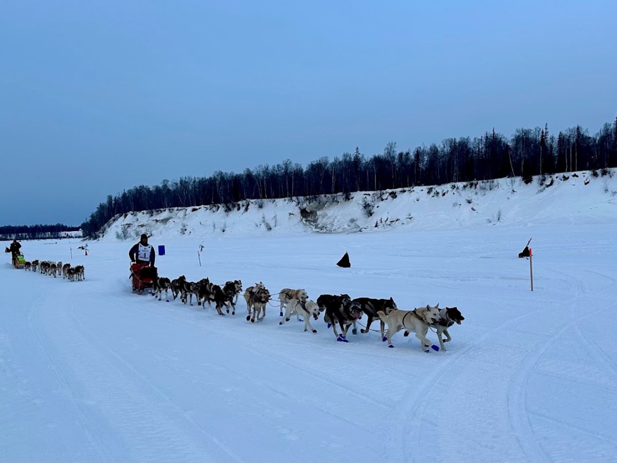 Two sled teams with dogs racing on a snowy terrain, forest in the background.