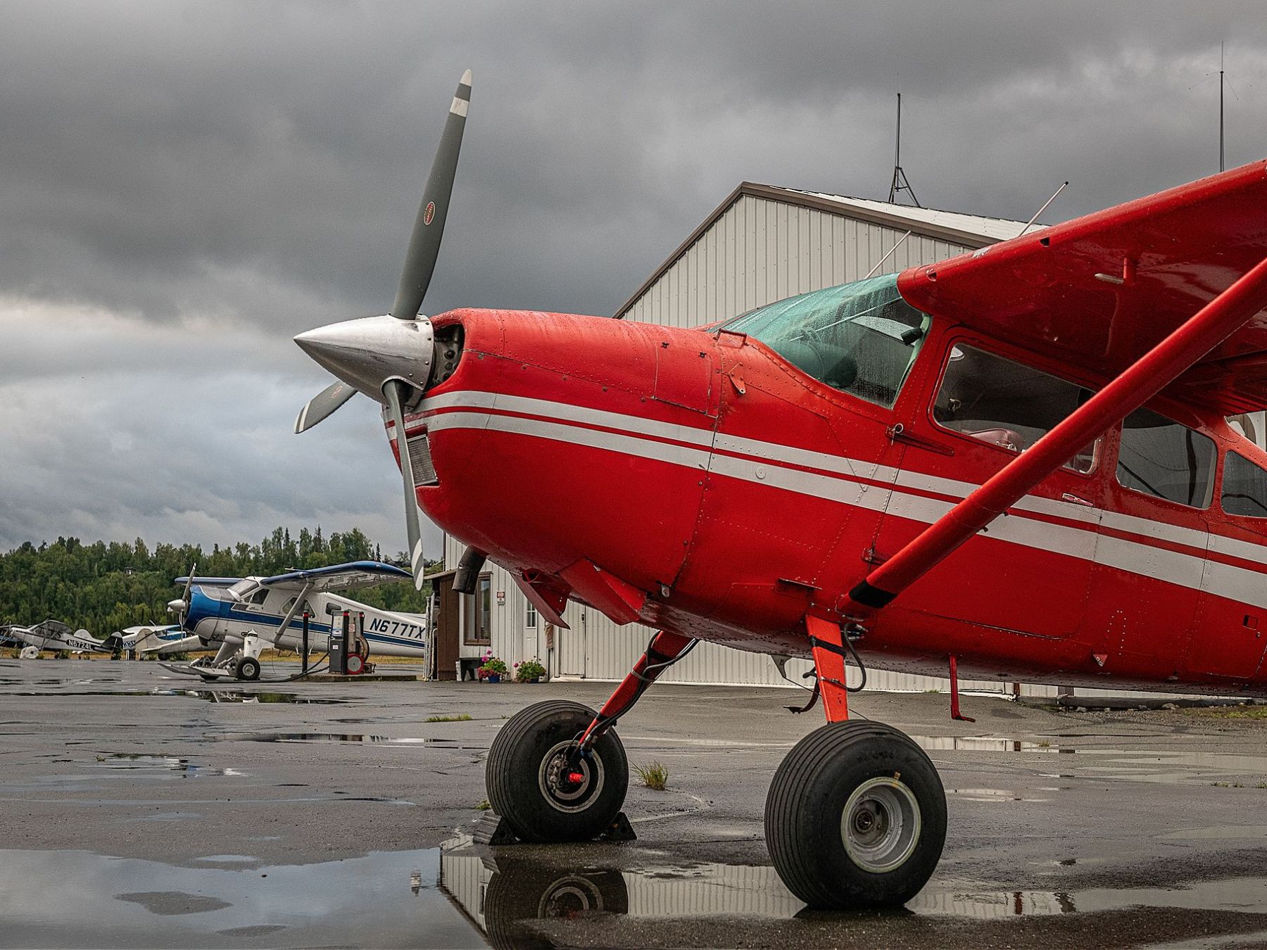 Cessna 185 Summer 2025 Rainy Day