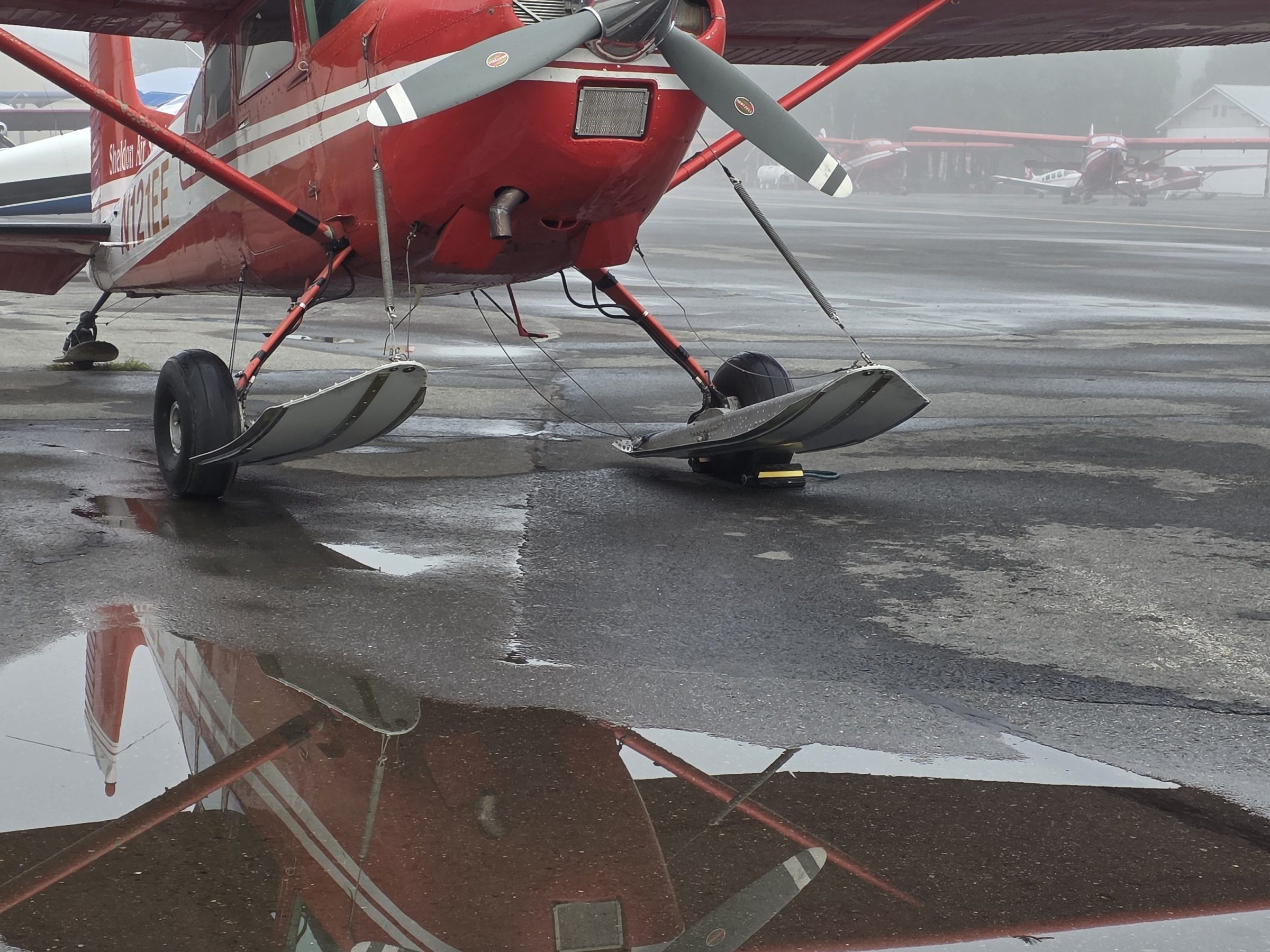 1979 Cessna 185 on skis