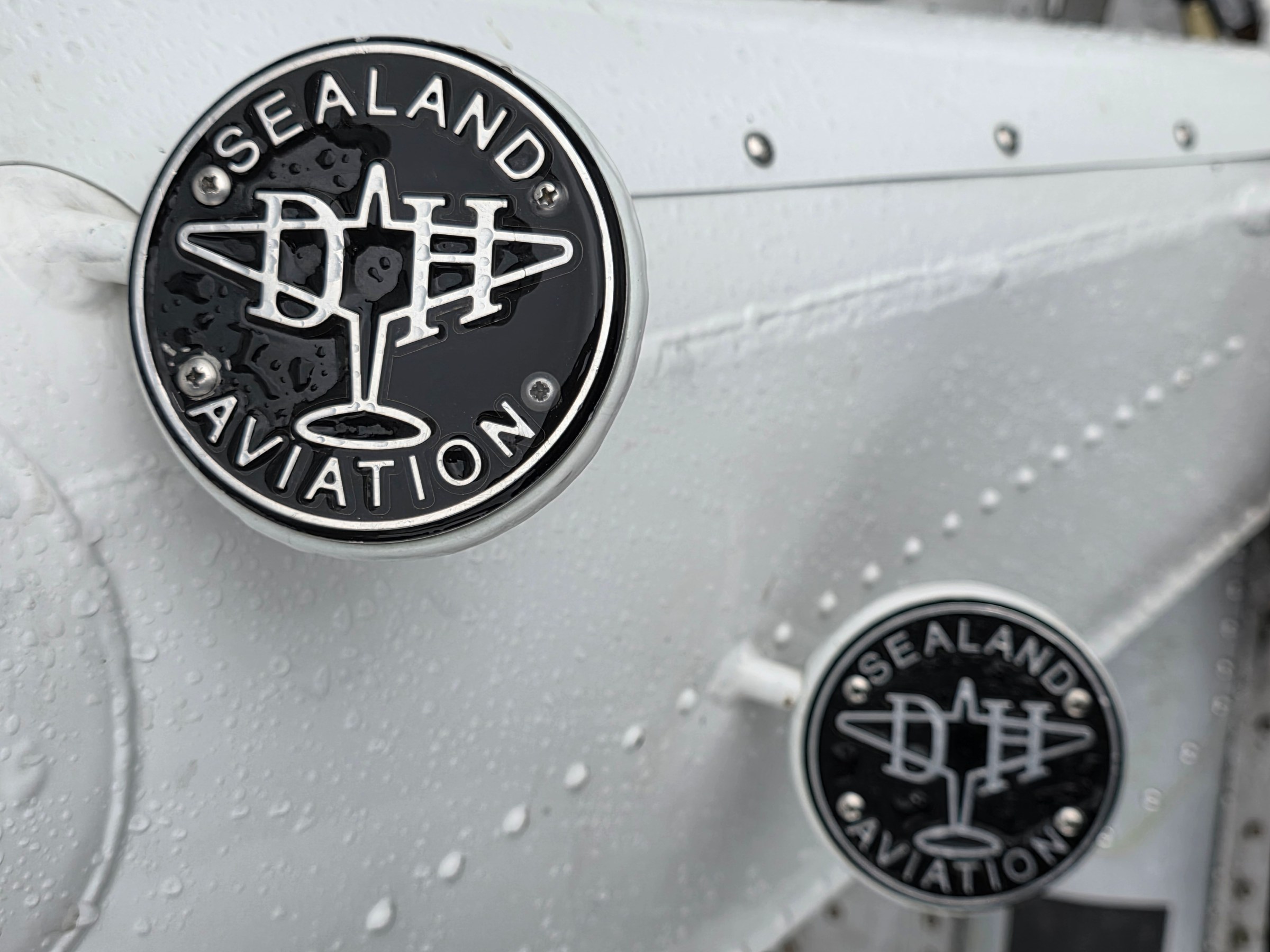 Close-up of Sealand Aviation emblems on airplane with raindrops - DeHavilland Radial Beaver