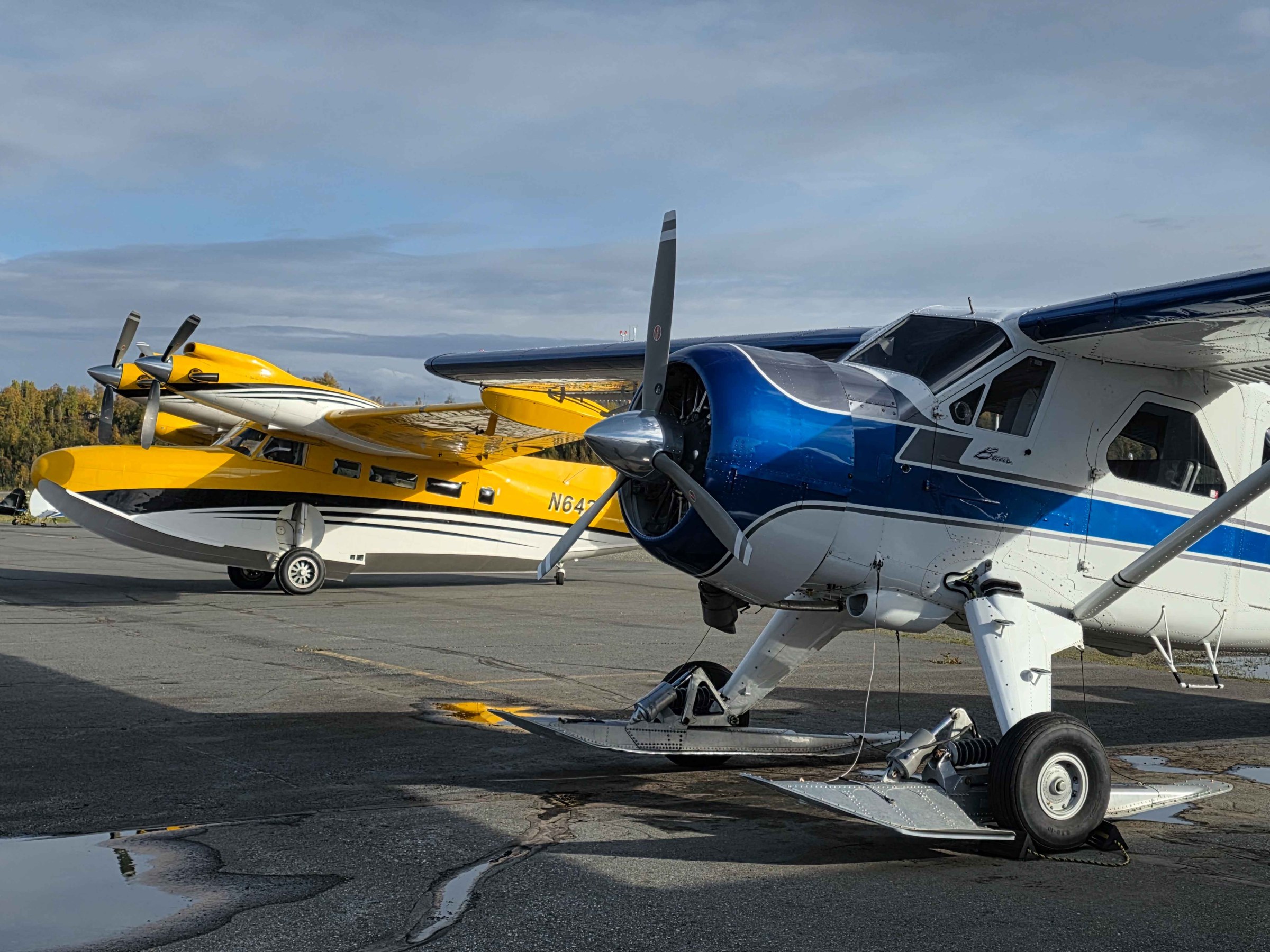 Grumman Goose and DH Beaver at Talkeetna Airport