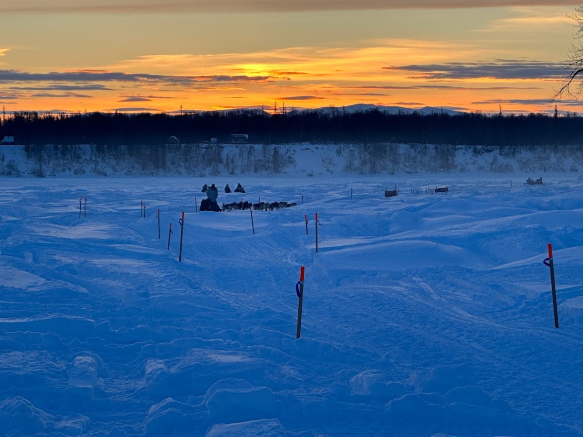 Sled dog team on snowy landscape during sunset with orange sky and distant trees.