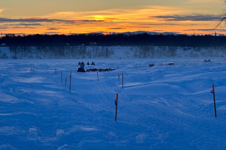 Sled dog team on snowy landscape during sunset with orange sky and distant trees.