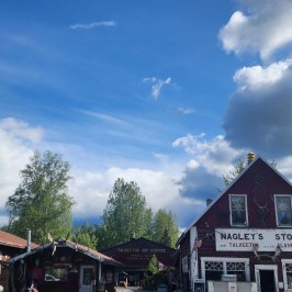 Nagleys wooden building under cloudy sky with trees and signage for Nagley's Store and West Rib Pub.