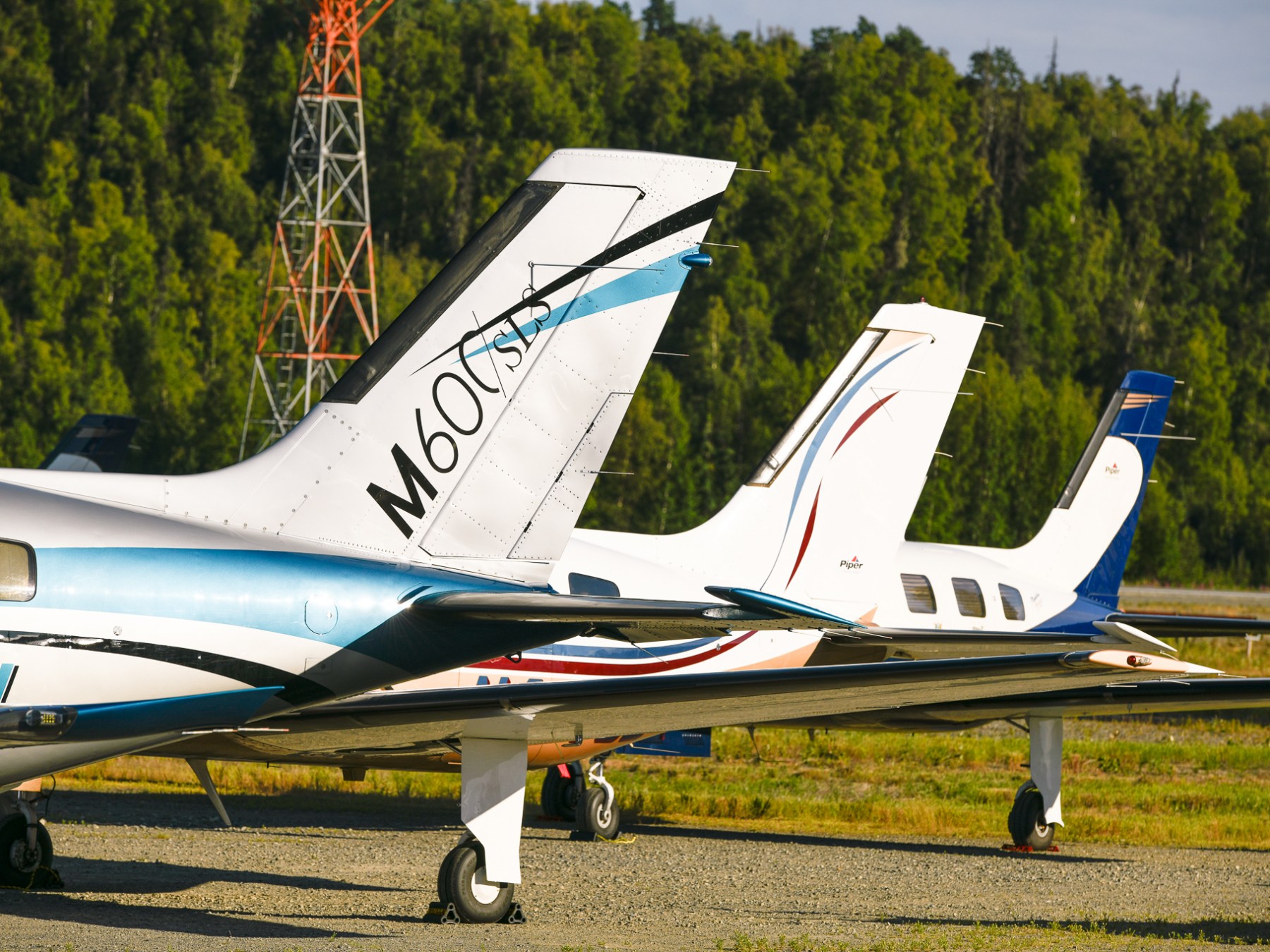 Pipers in TKA Airport Alaska Summer 2025