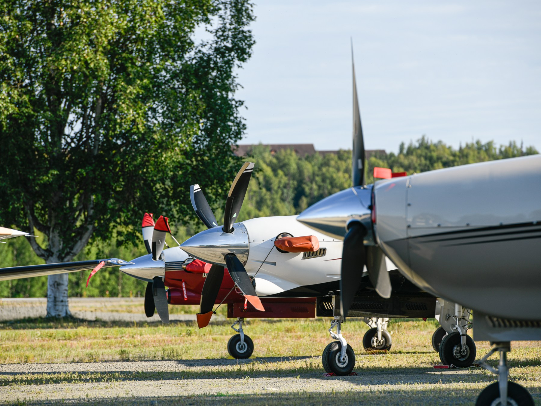 Pipers in TKA Airport Alaska