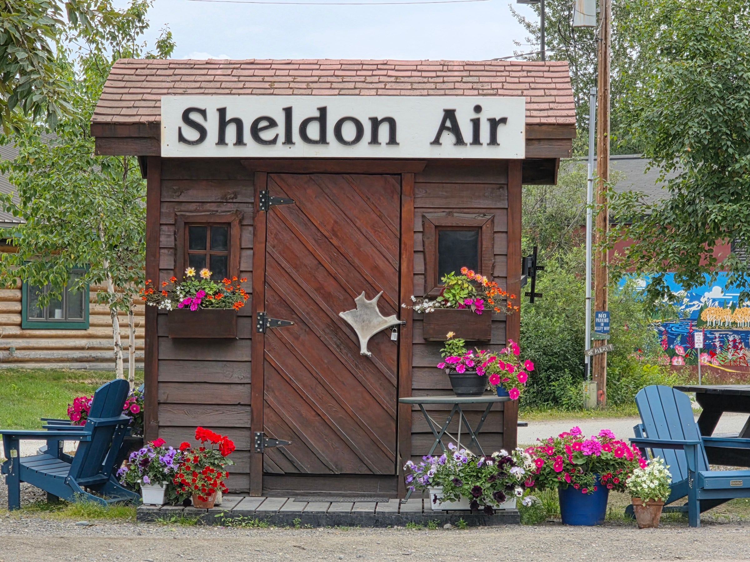 Sheldon Air Kiosk In Talkeetna