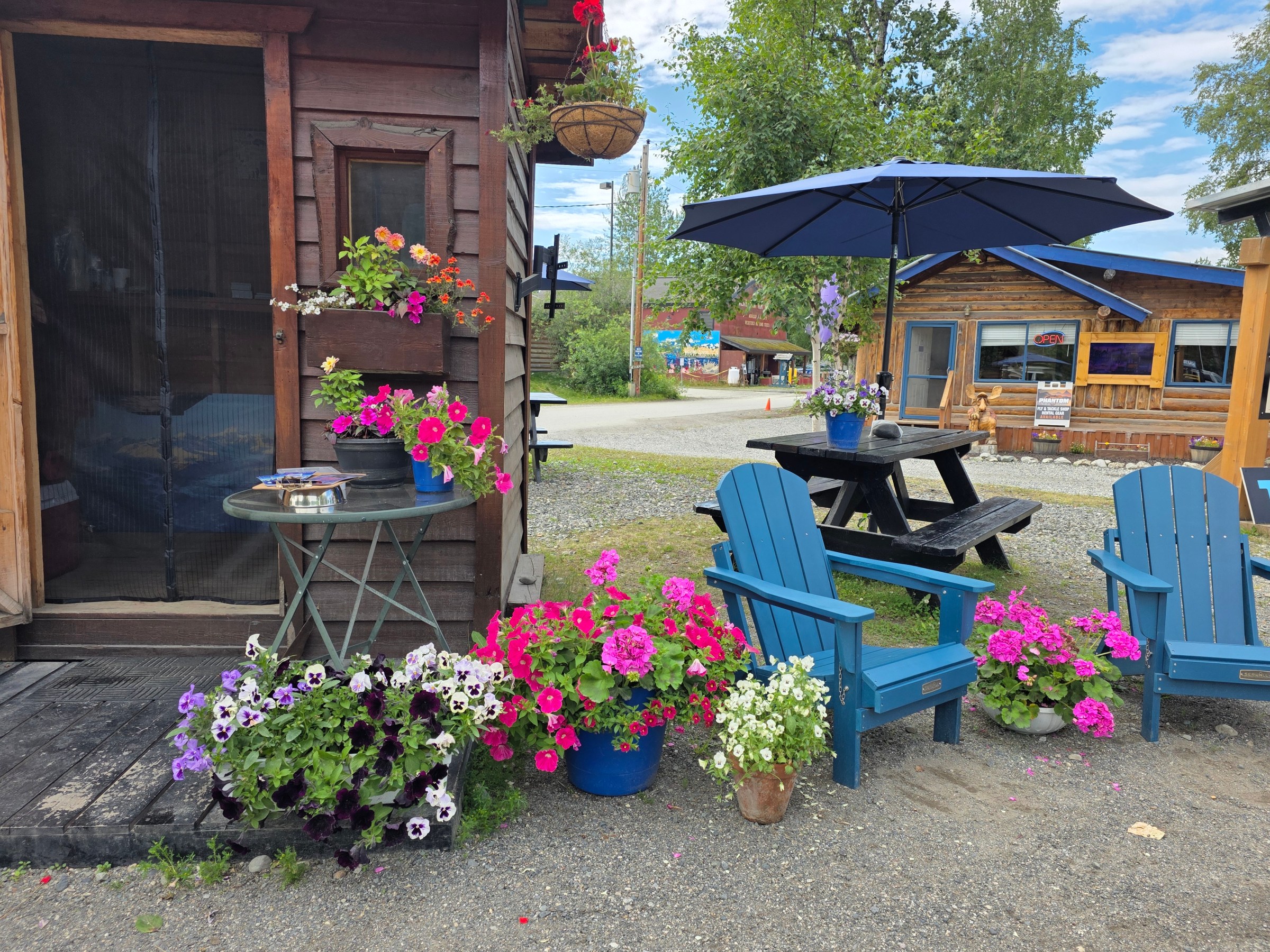 Talkeetna Small Businesses on Summer