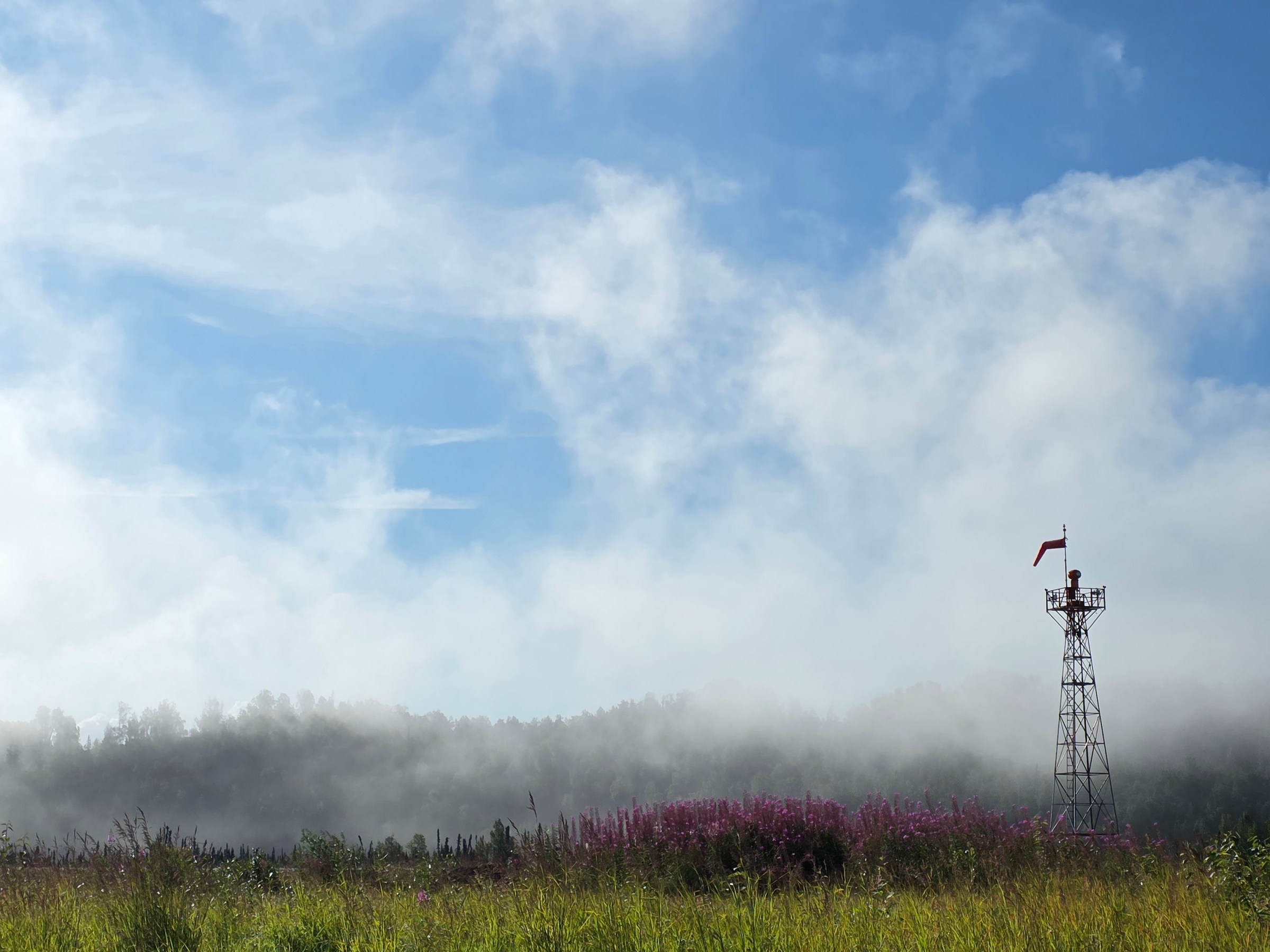 Field with flowers, metal tower, red windsock, fog and trees in background, and partly cloudy sky.