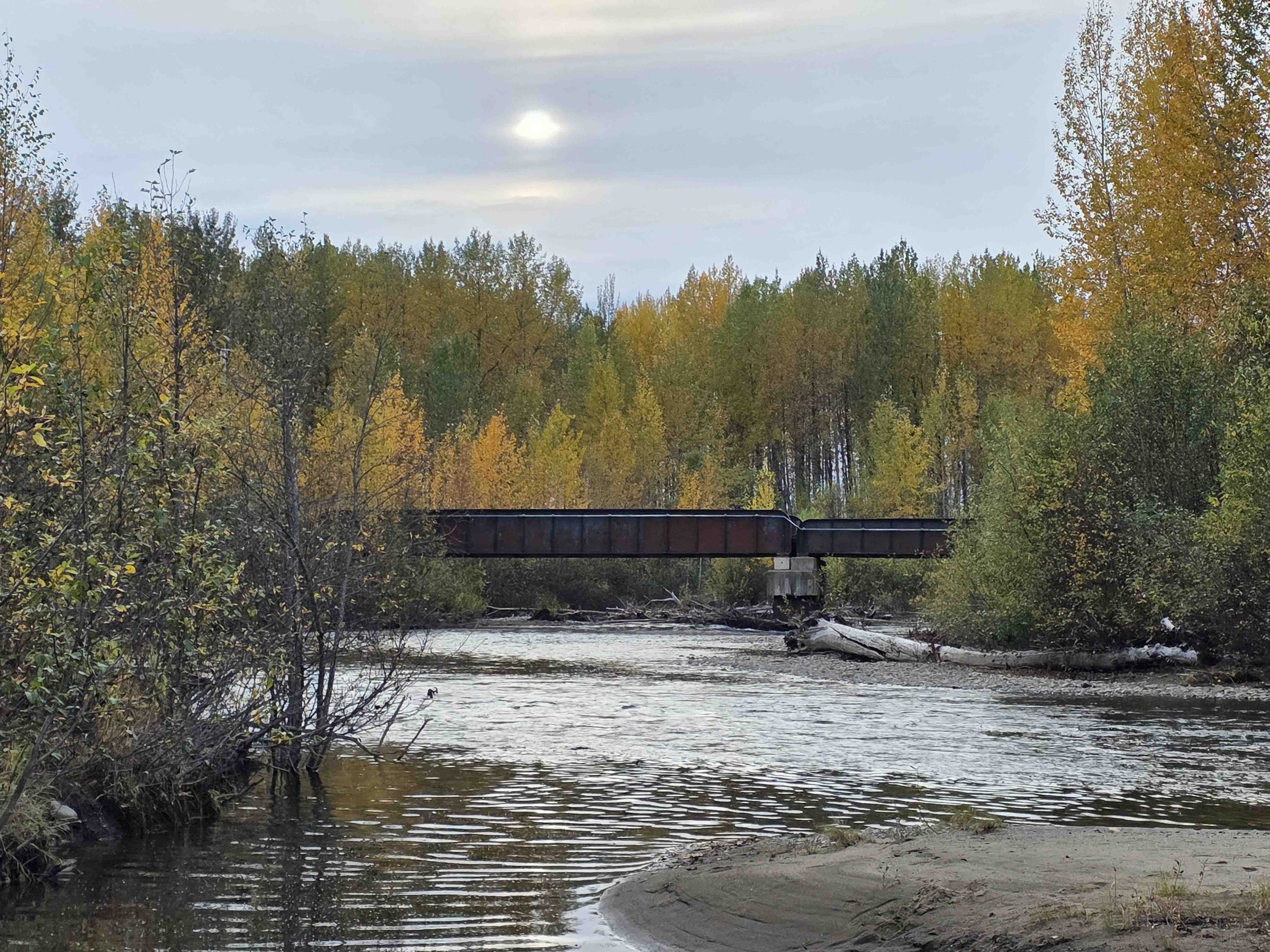 Montana Creek Talkeetna