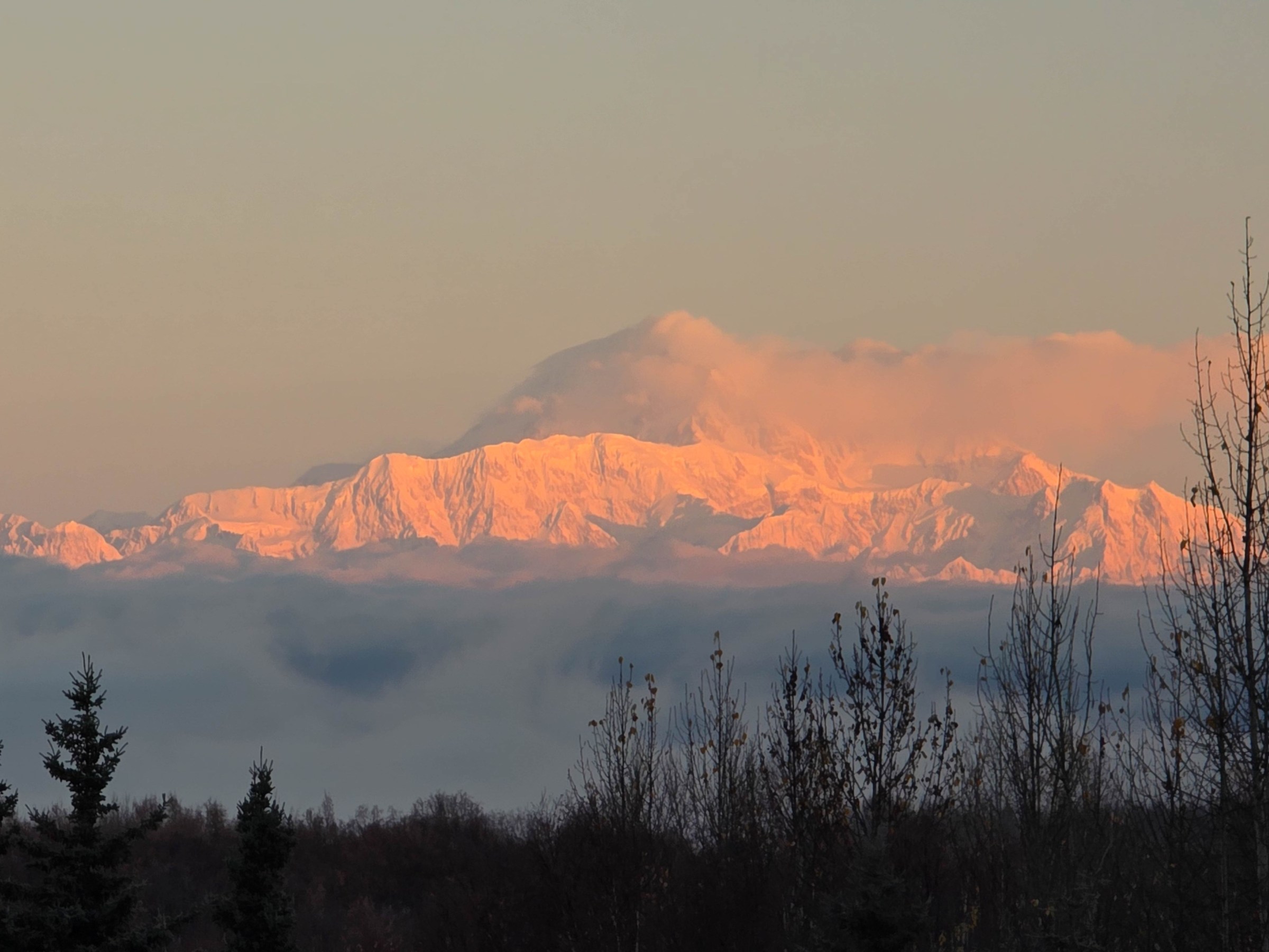 Denali on Fall sunset