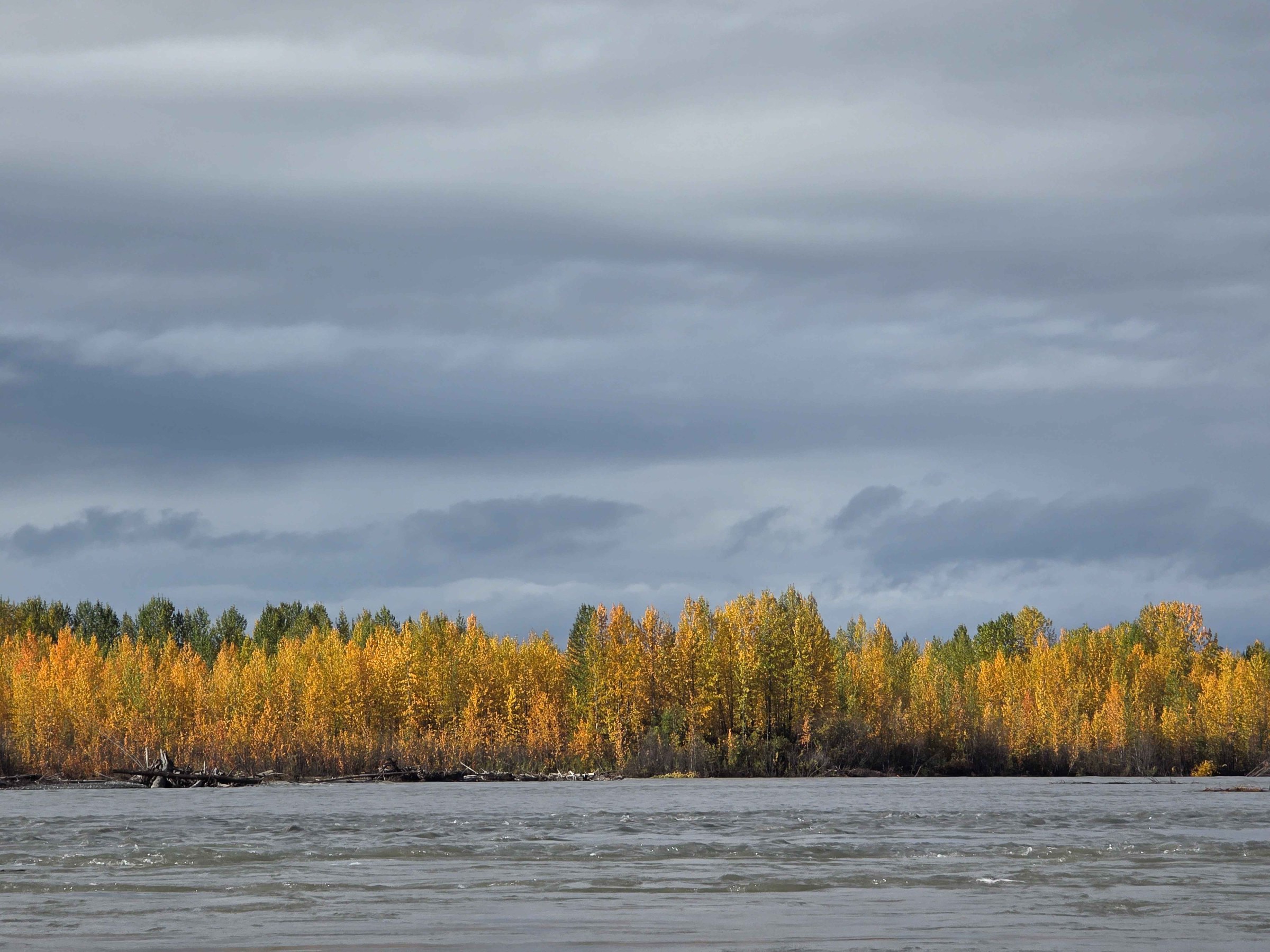 Fall Colors Susitna River