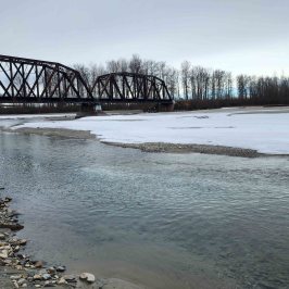 Metal bridge over a partially frozen river with trees in the background. Talkeetna Bridge Spring 2025