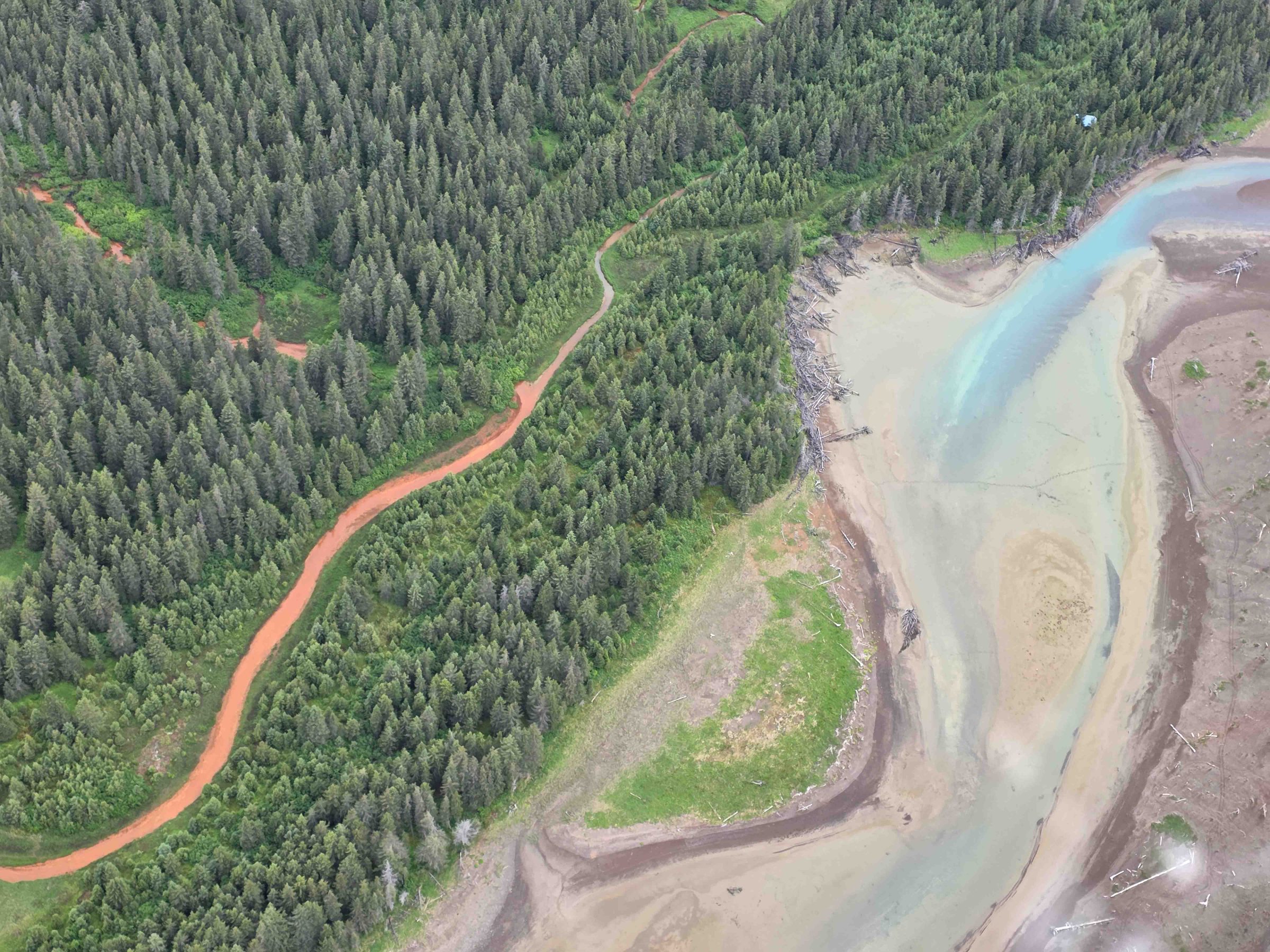 Aerial view of a forest with a winding red dirt path next to a riverbend.