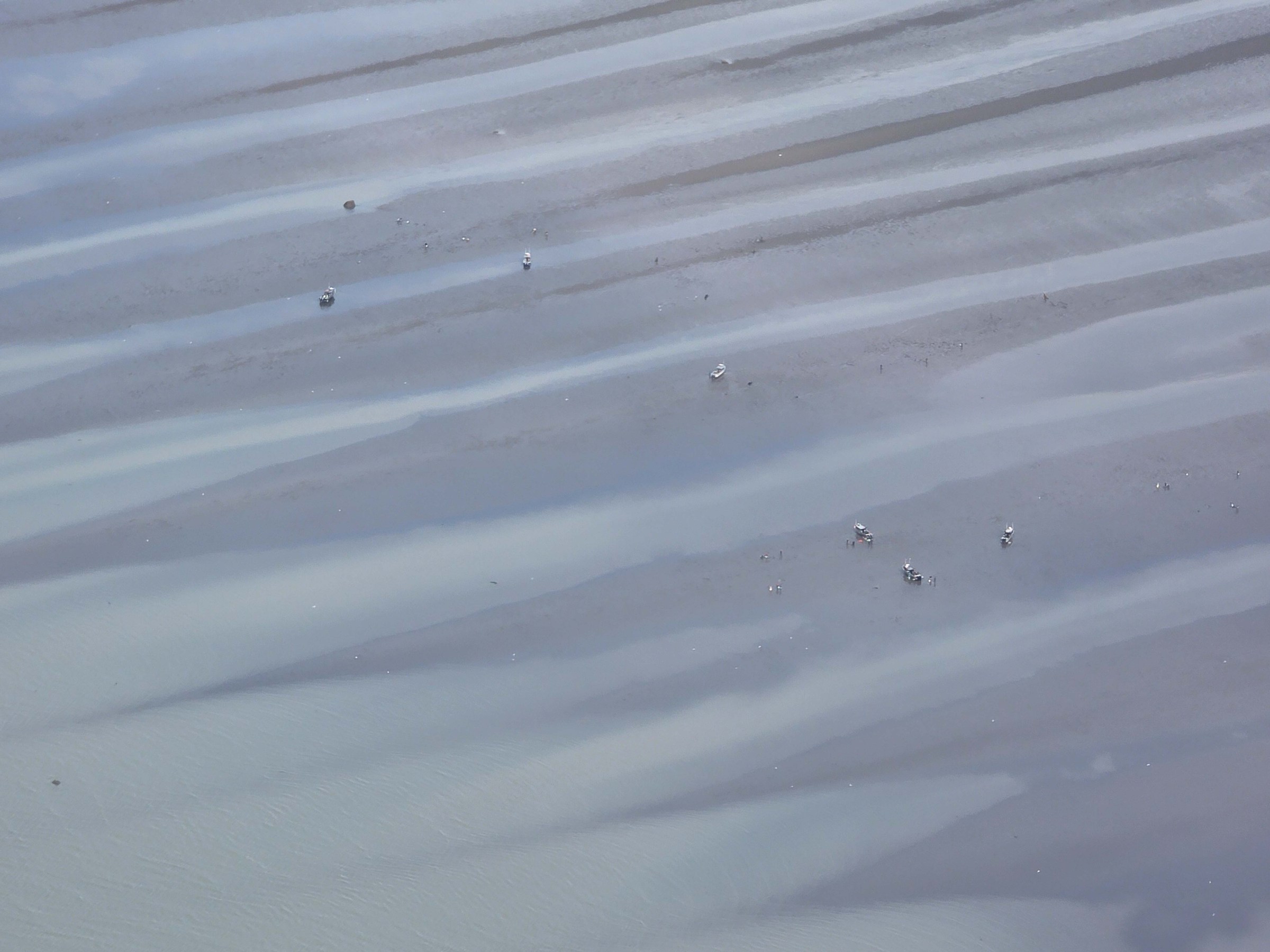 Aerial view of wavy water patterns with several birds scattered on the surface.