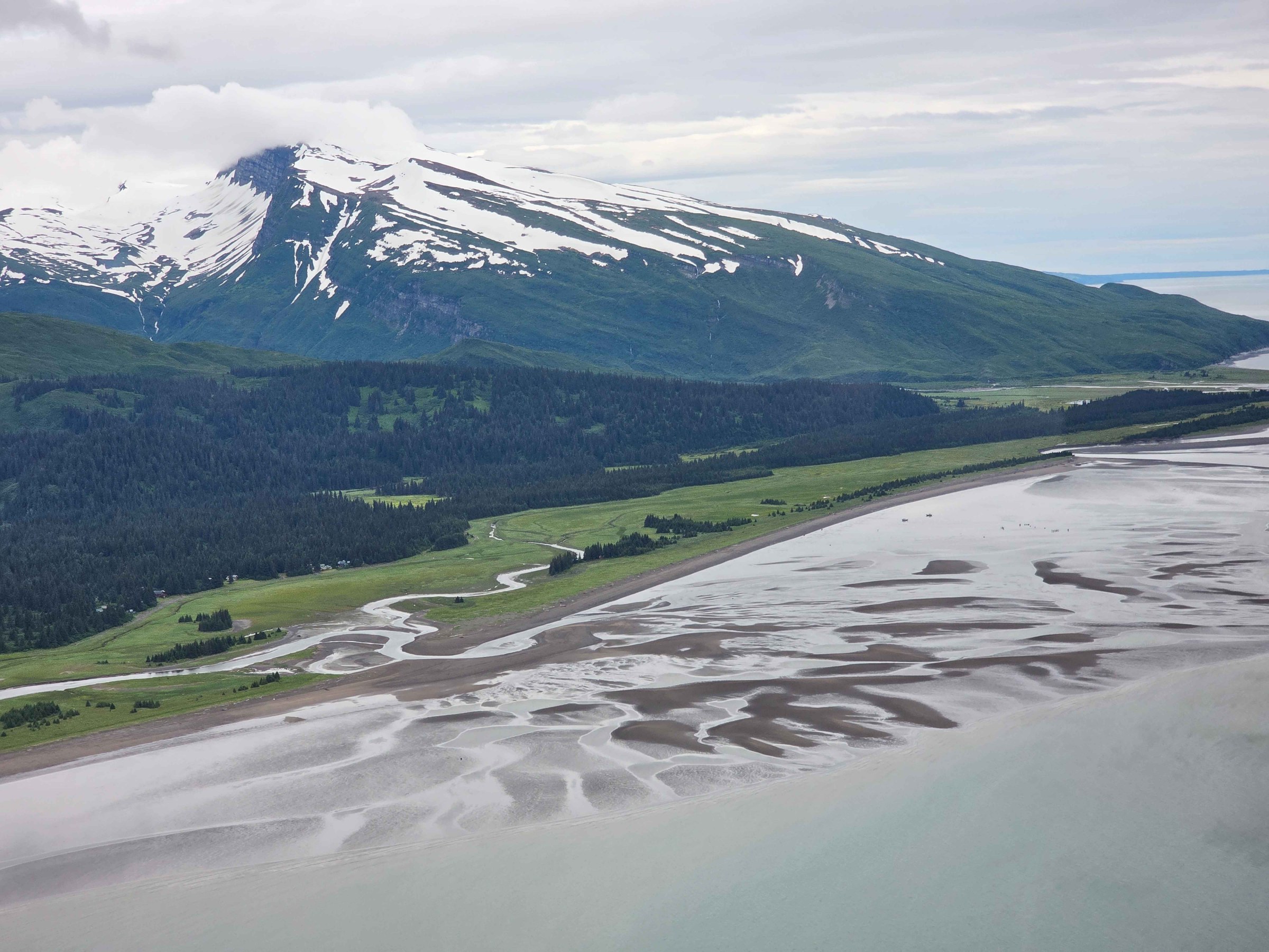 Snow-capped mountain with lush green slopes and river meeting the sea under a cloudy sky.