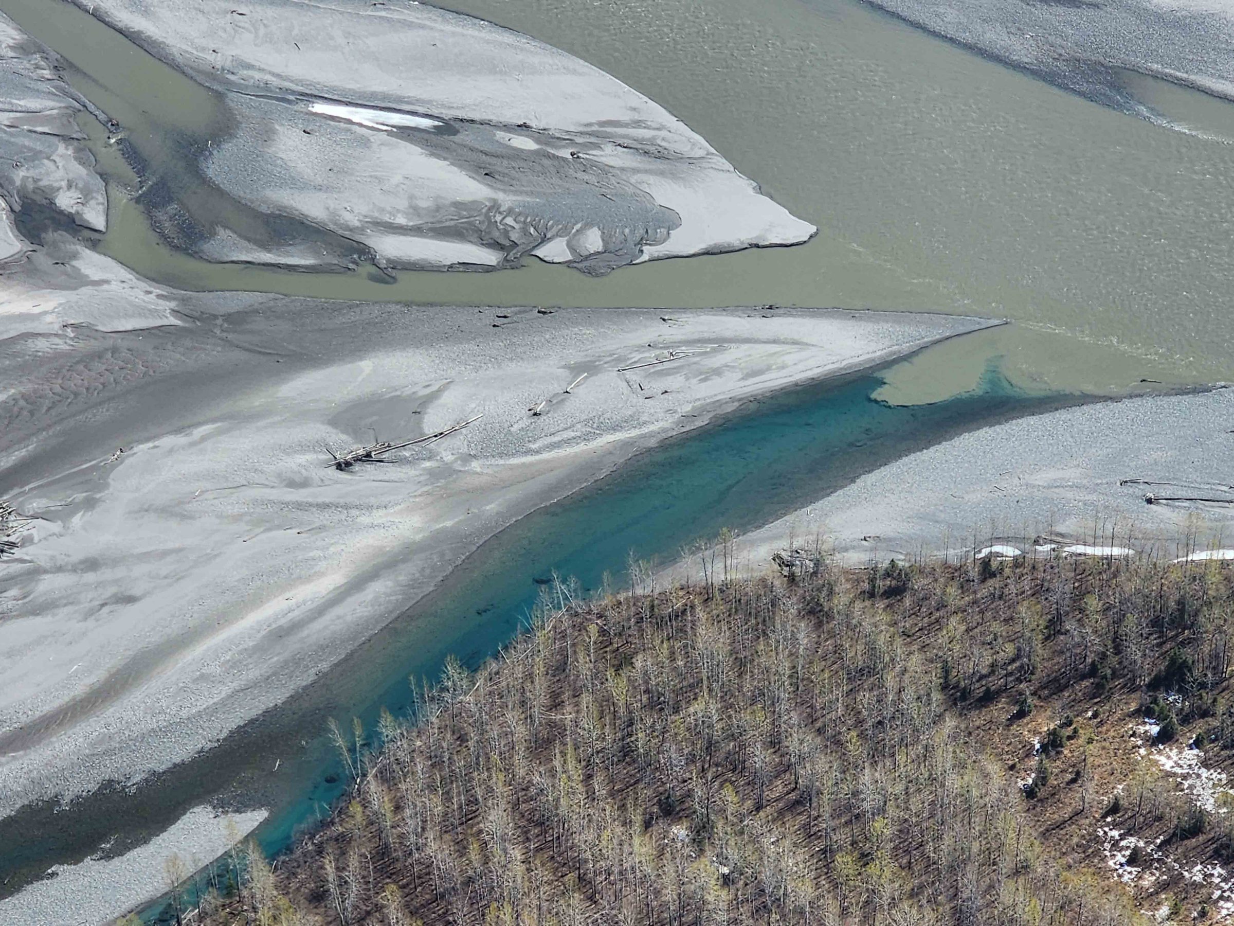 Aerial view of a river with sandbanks and a forested area.