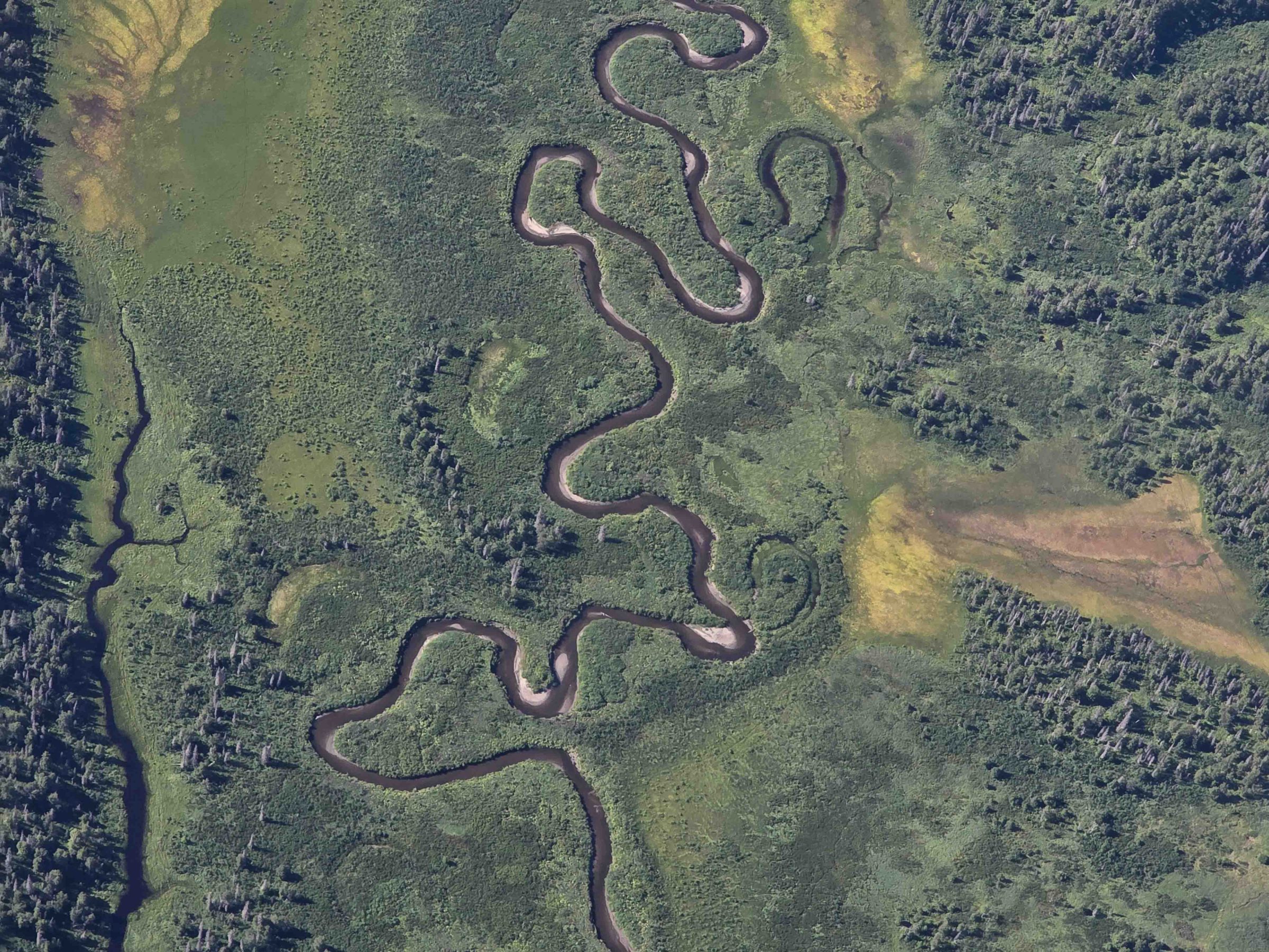Aerial view of a winding river through a lush, green landscape with surrounding forest.