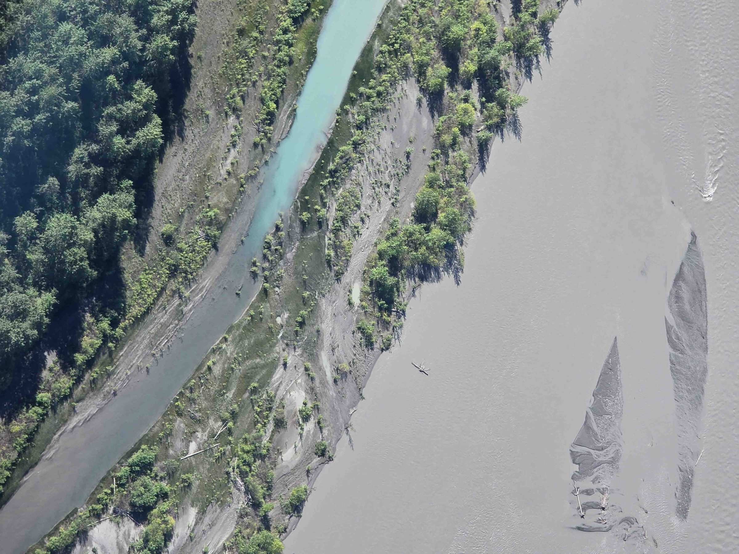 Aerial view of a river with green banks and muddy water flowing through a forested area.
