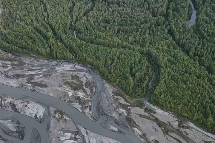Aerial view of a dense forest bordering a braided river with grayish sediment.
