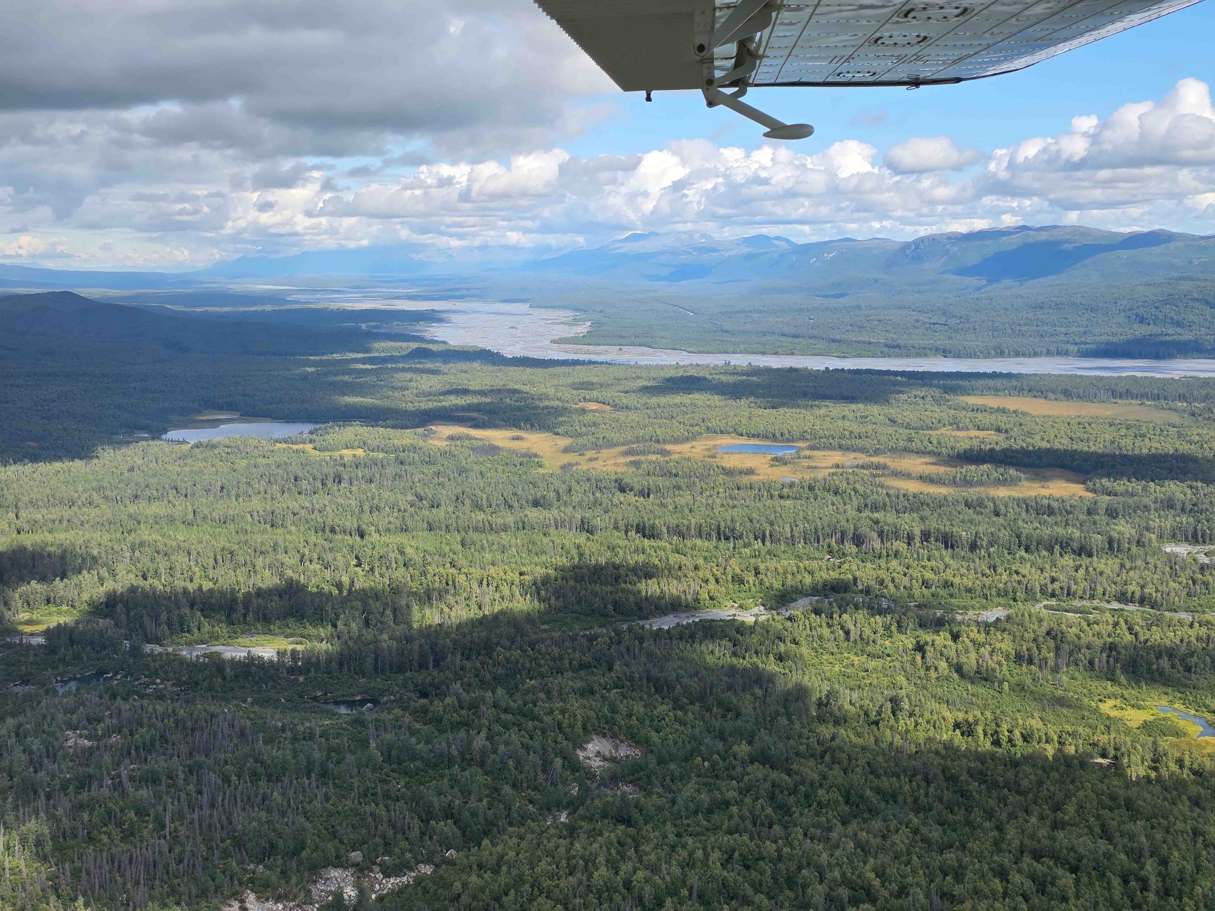 Aerial view of forested landscape under cloudy sky, with airplane wing visible.