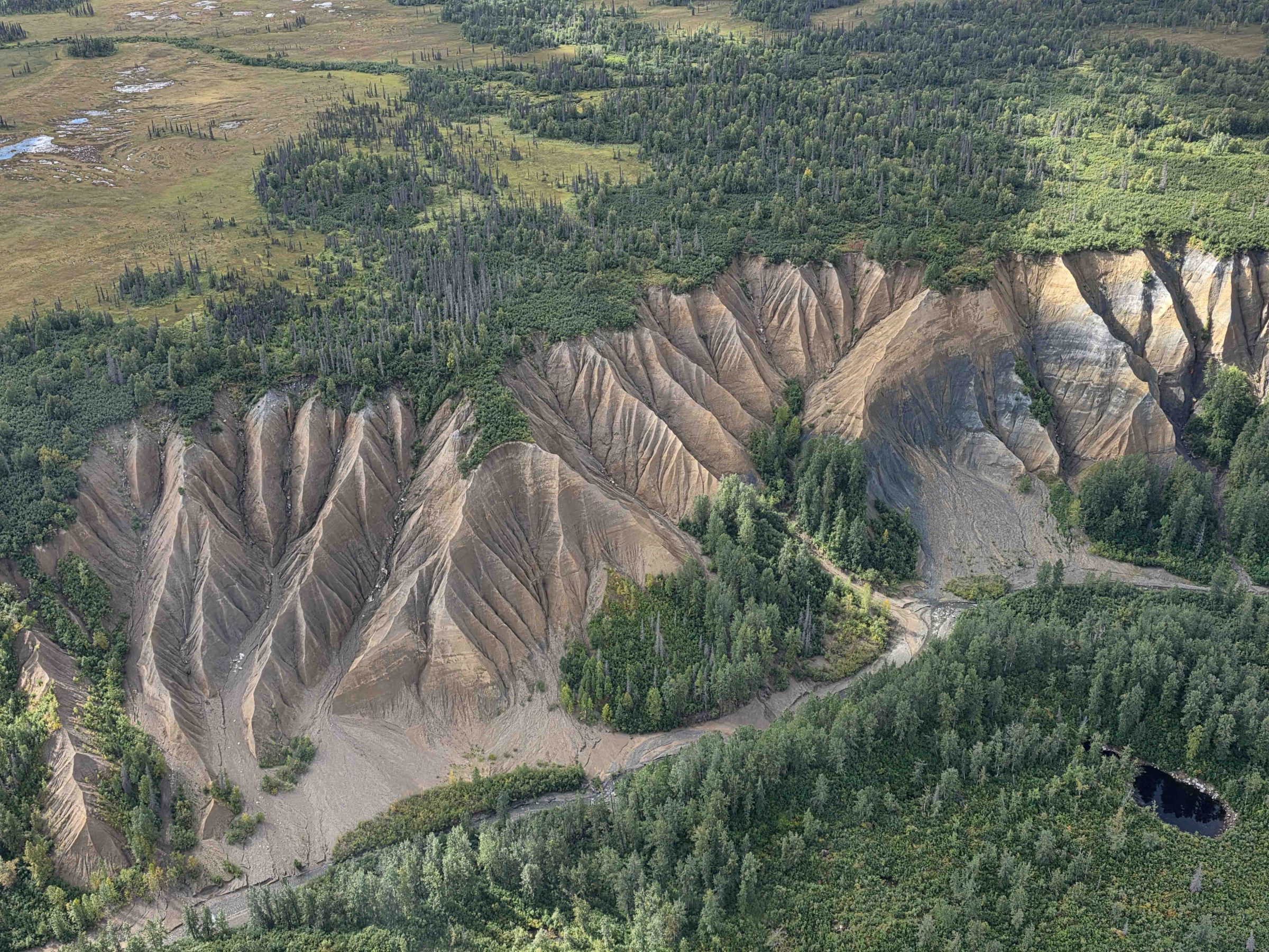 Aerial view of eroded cliffs with rugged terrain and dense forest in the background.