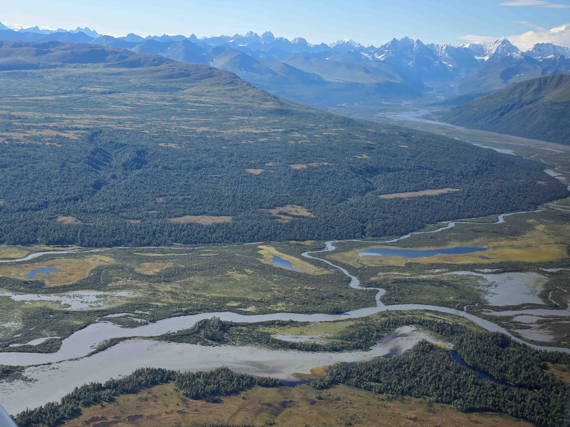 Aerial view of winding river, forest, and distant snow-capped mountains under a clear sky.