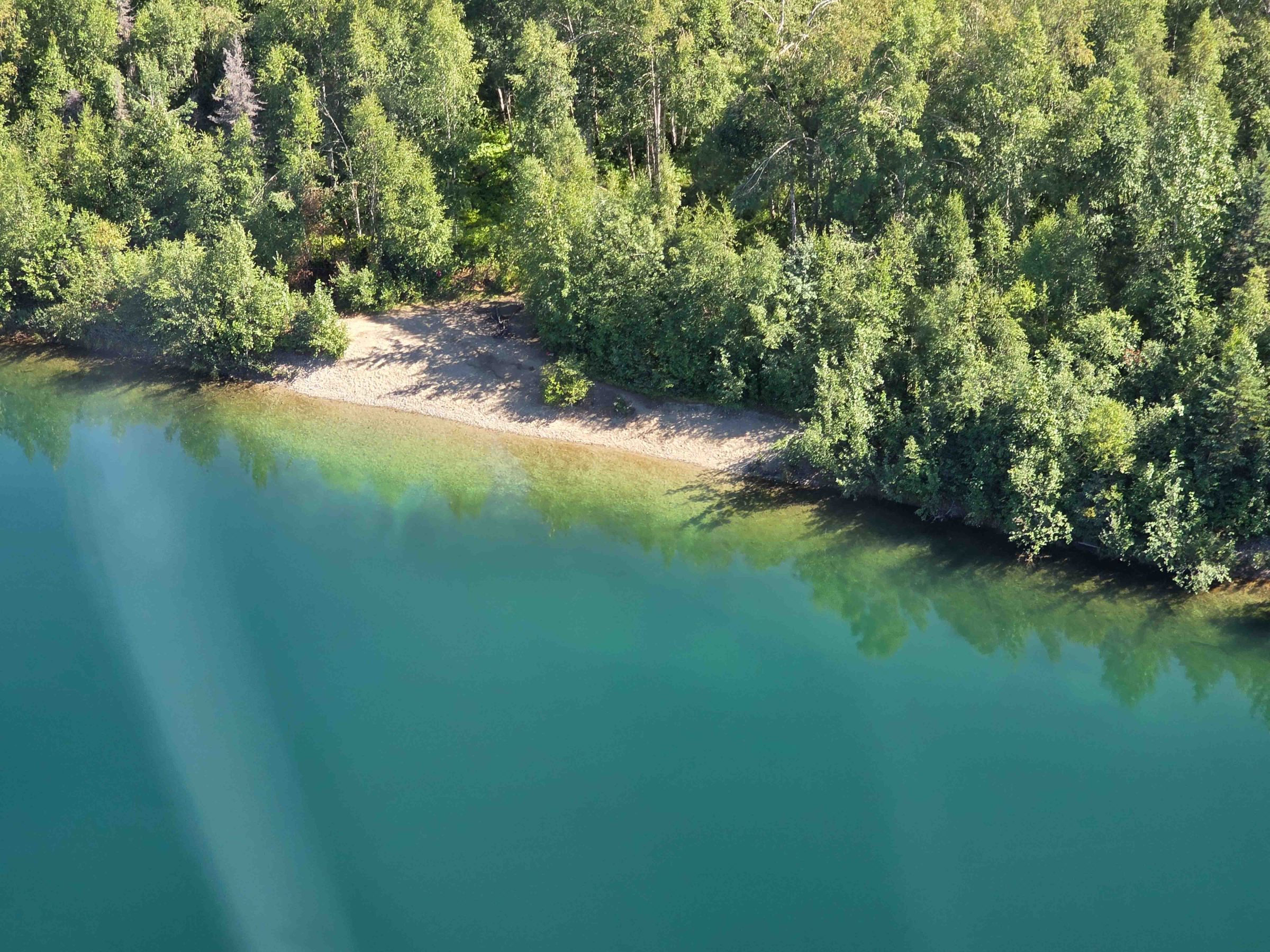 Aerial view of a green forest bordering a clear blue lake with a sandy shore.
