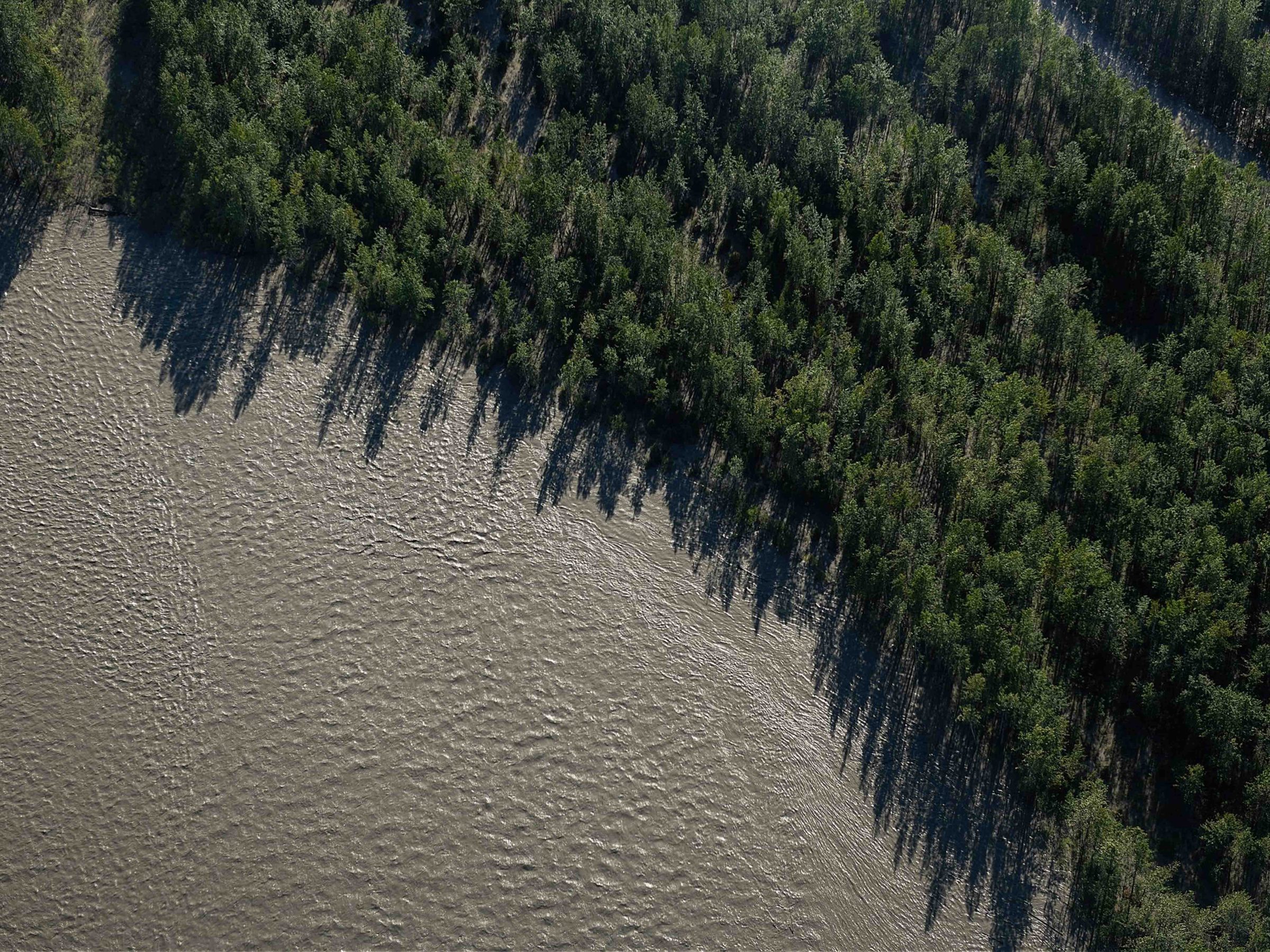 Aerial view of a river with trees casting long shadows on the water.