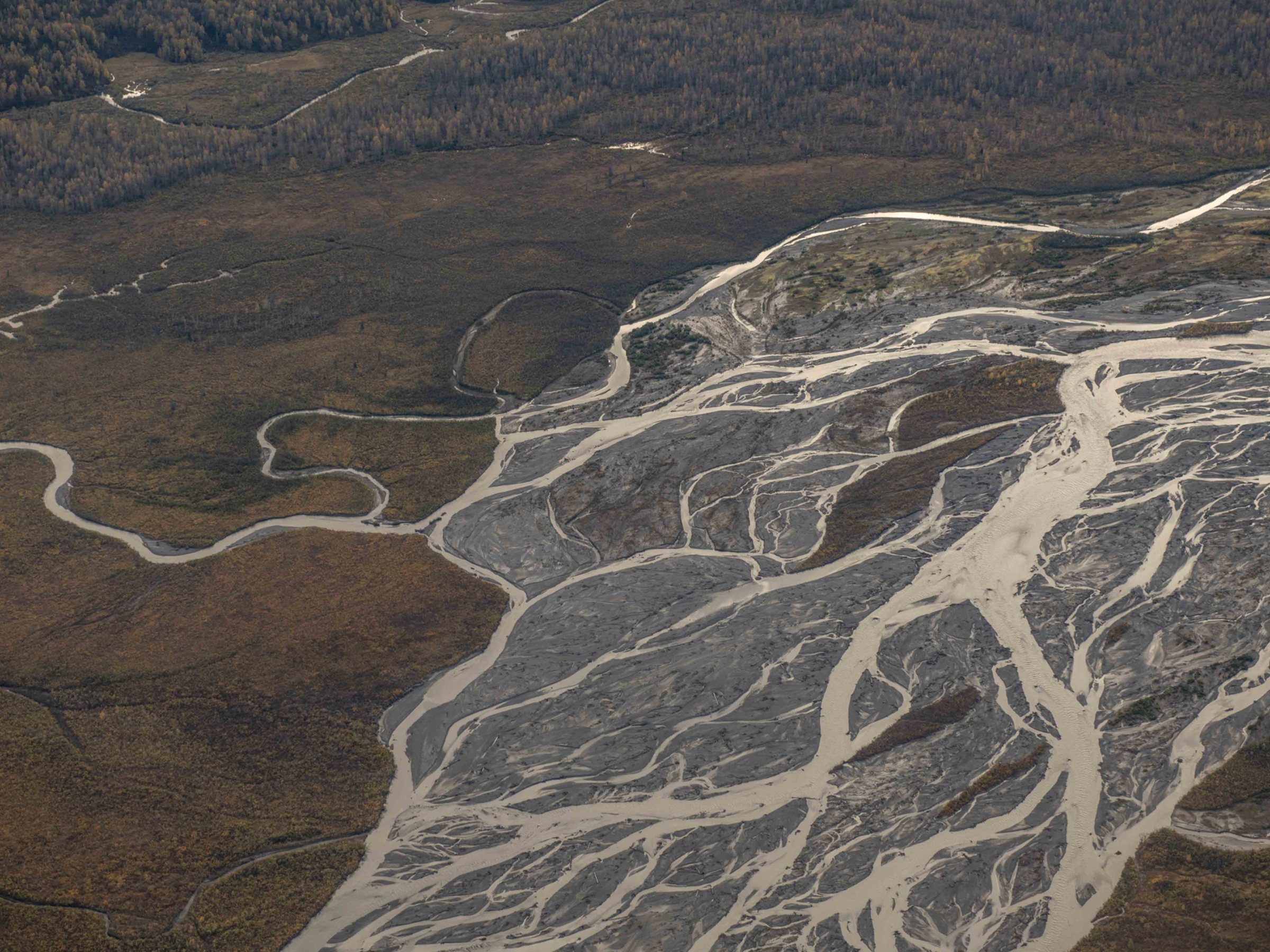 Aerial view of winding river and braided channels in a forested landscape.