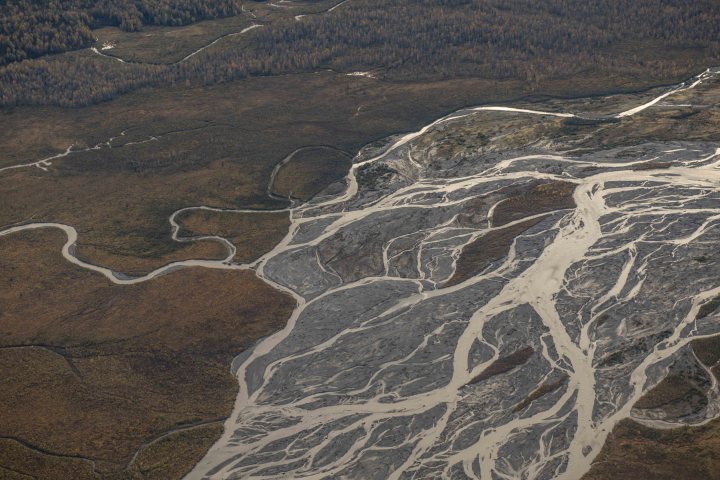 Aerial view of winding river and braided channels in the forested landscape of Talkeetna