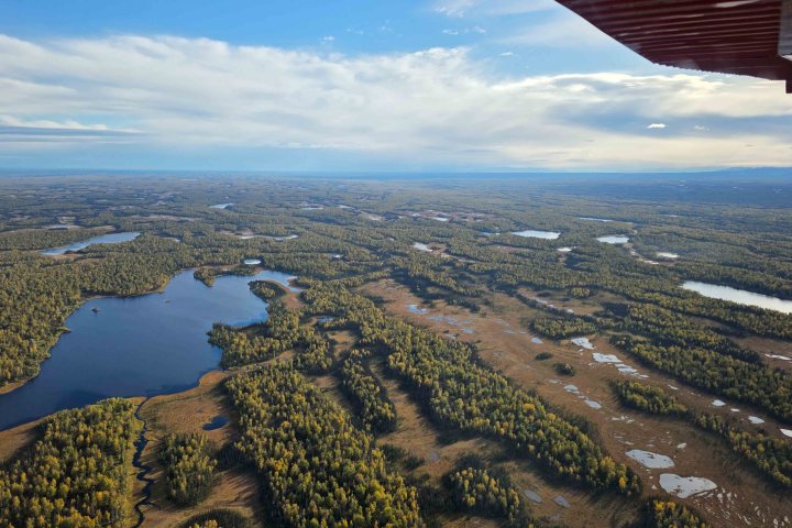 Talkeetna Region Forested Area Aerial view from Flightseeing Tour