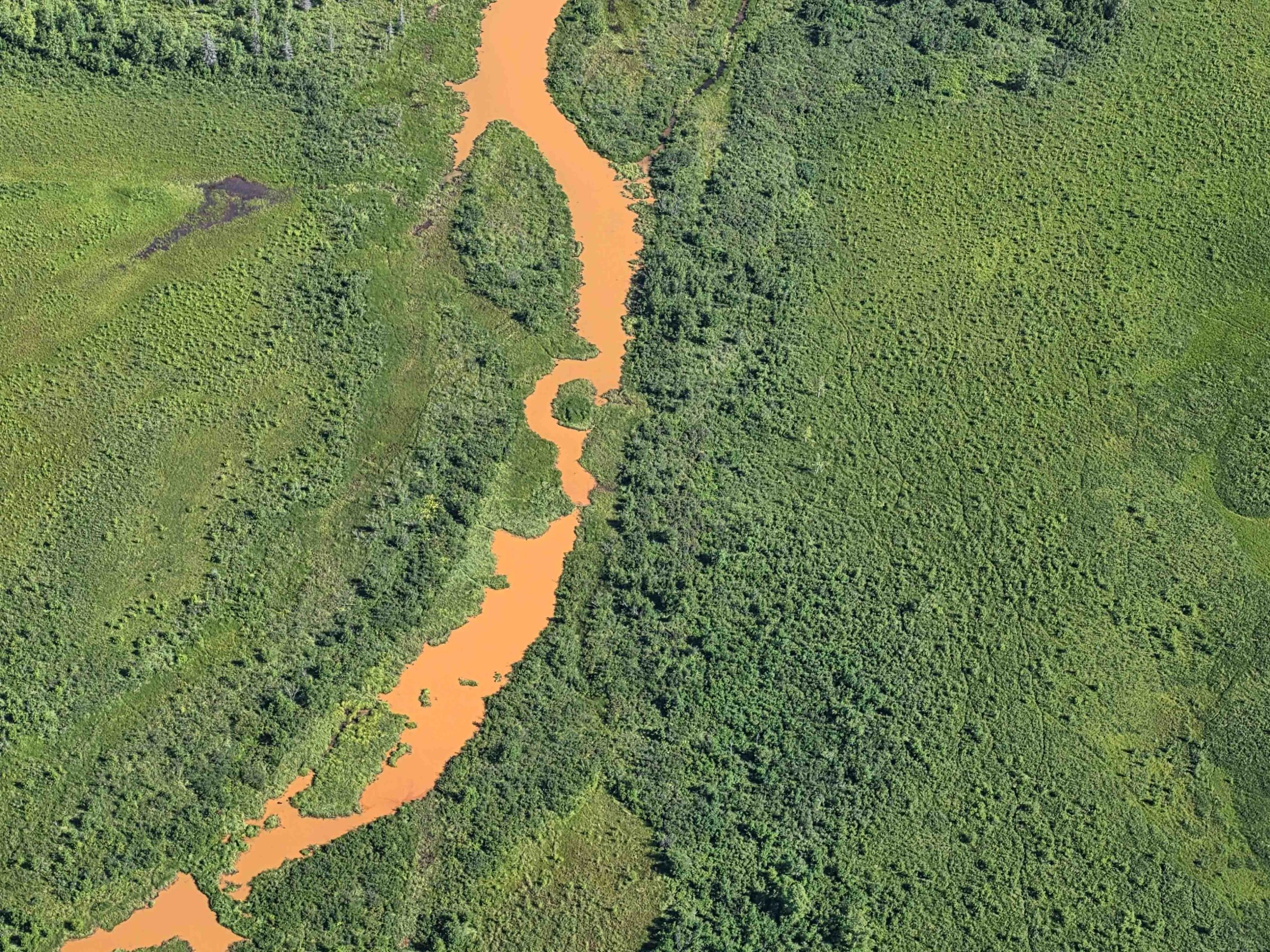 Aerial view of a winding brown river through a lush green landscape.