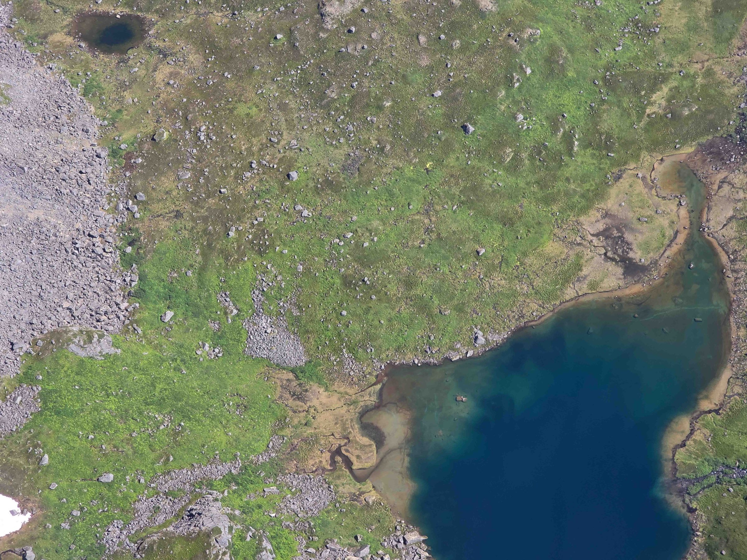 Aerial view of a rocky terrain with scattered green vegetation and a large blue lake.