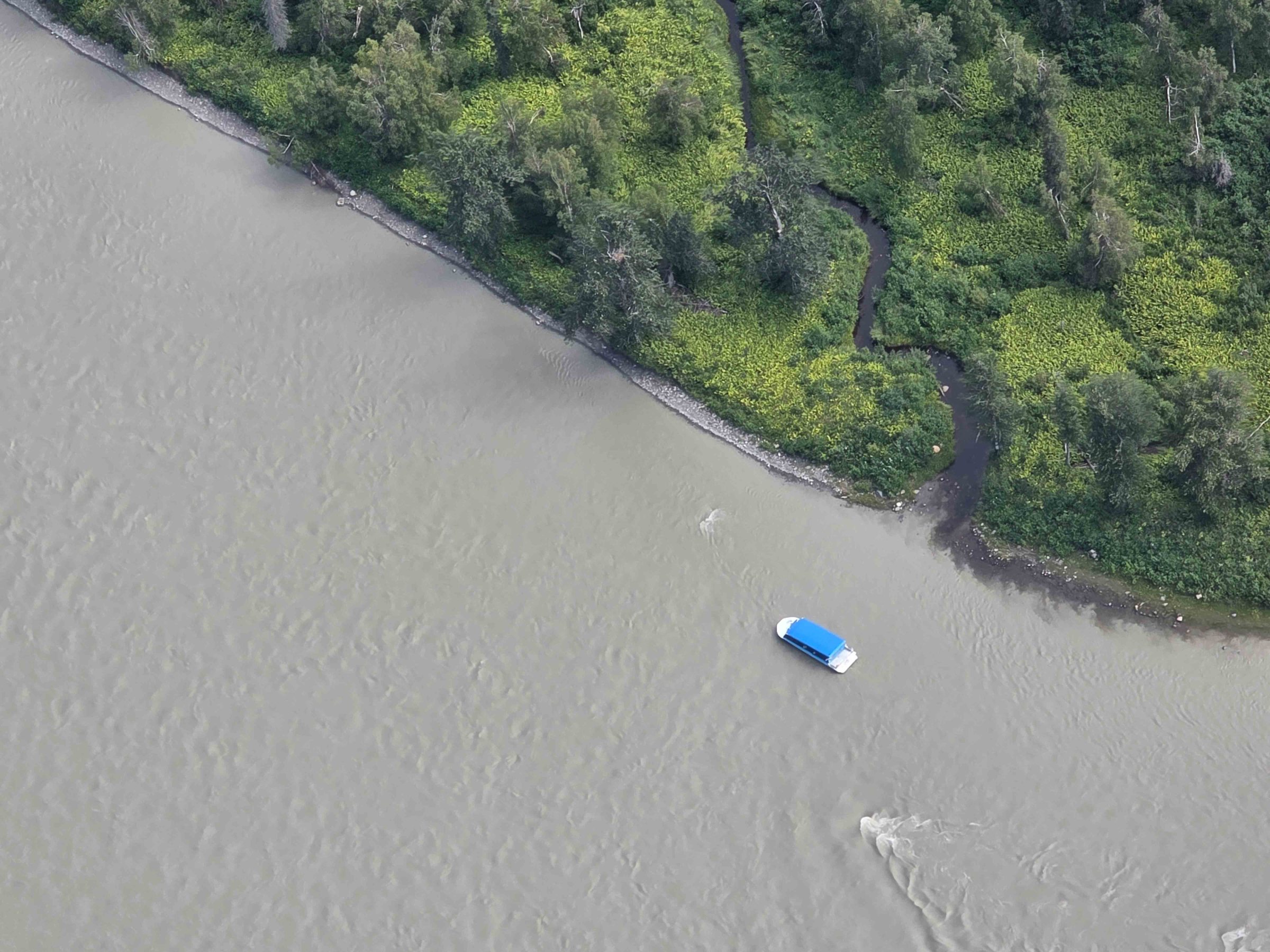 Aerial view of a boat with a blue roof on a river near a forested shoreline.