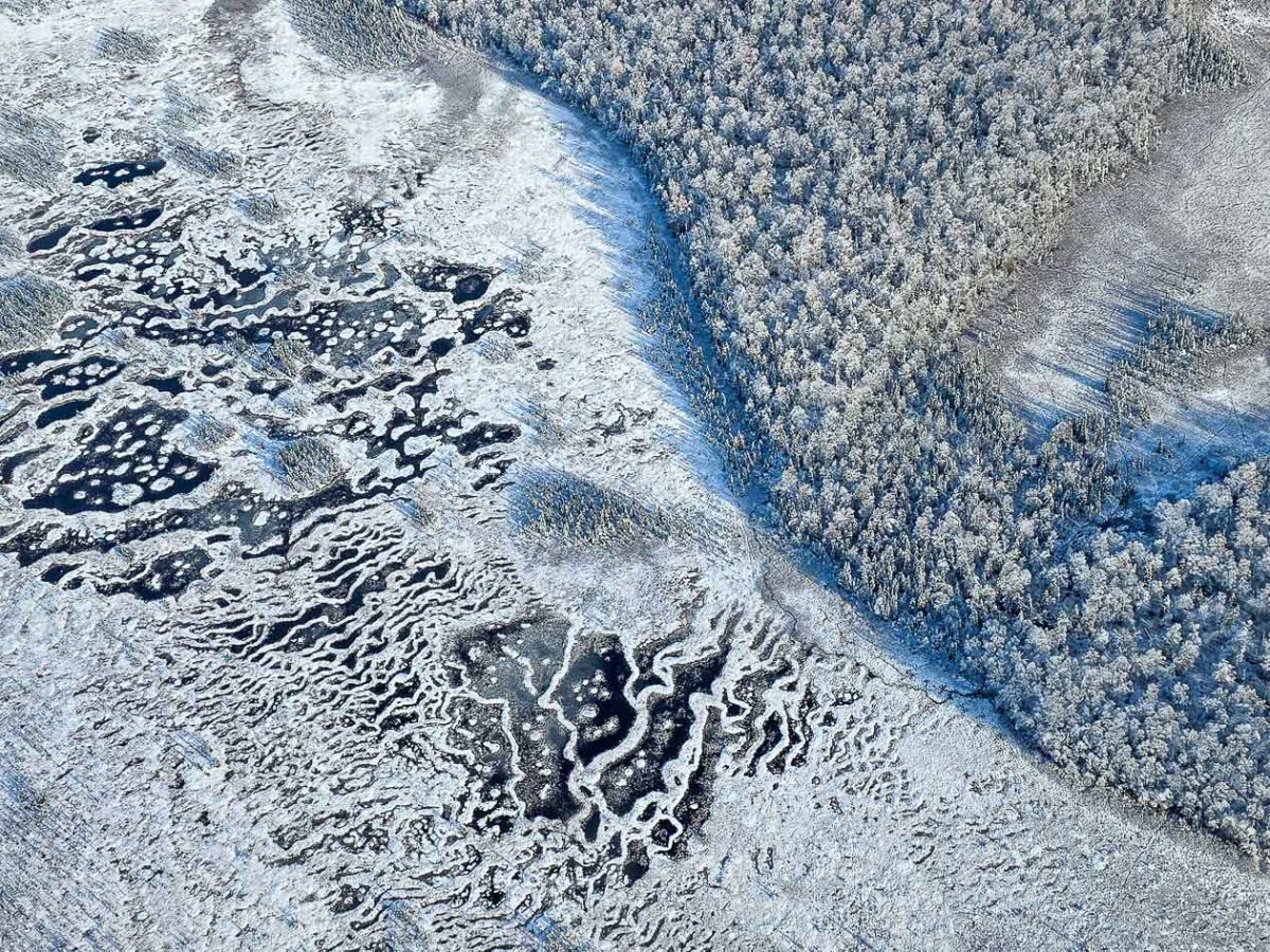 Aerial view of a snowy Alaskan landscape with frozen waters and clusters of trees.