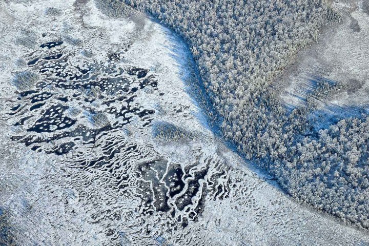 Aerial view of a snowy Alaskan landscape with frozen waters and clusters of trees.