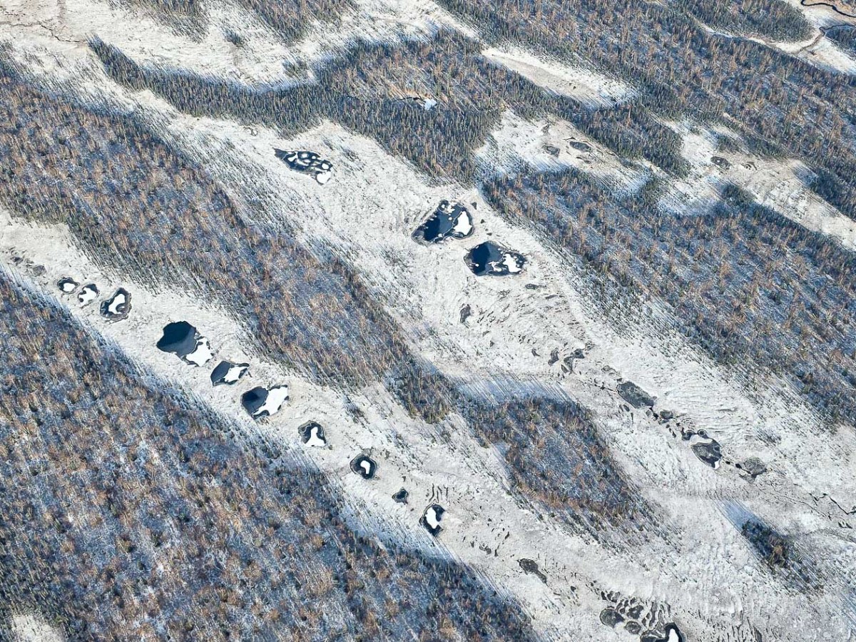 Aerial view of a winding river surrounded by snow-covered trees and landscape during Denali Flightseeing Tours Over Talkeetna and Denali National Park