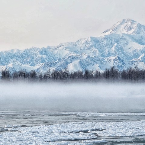 Denali and Hunter on Foggy Winter Morning